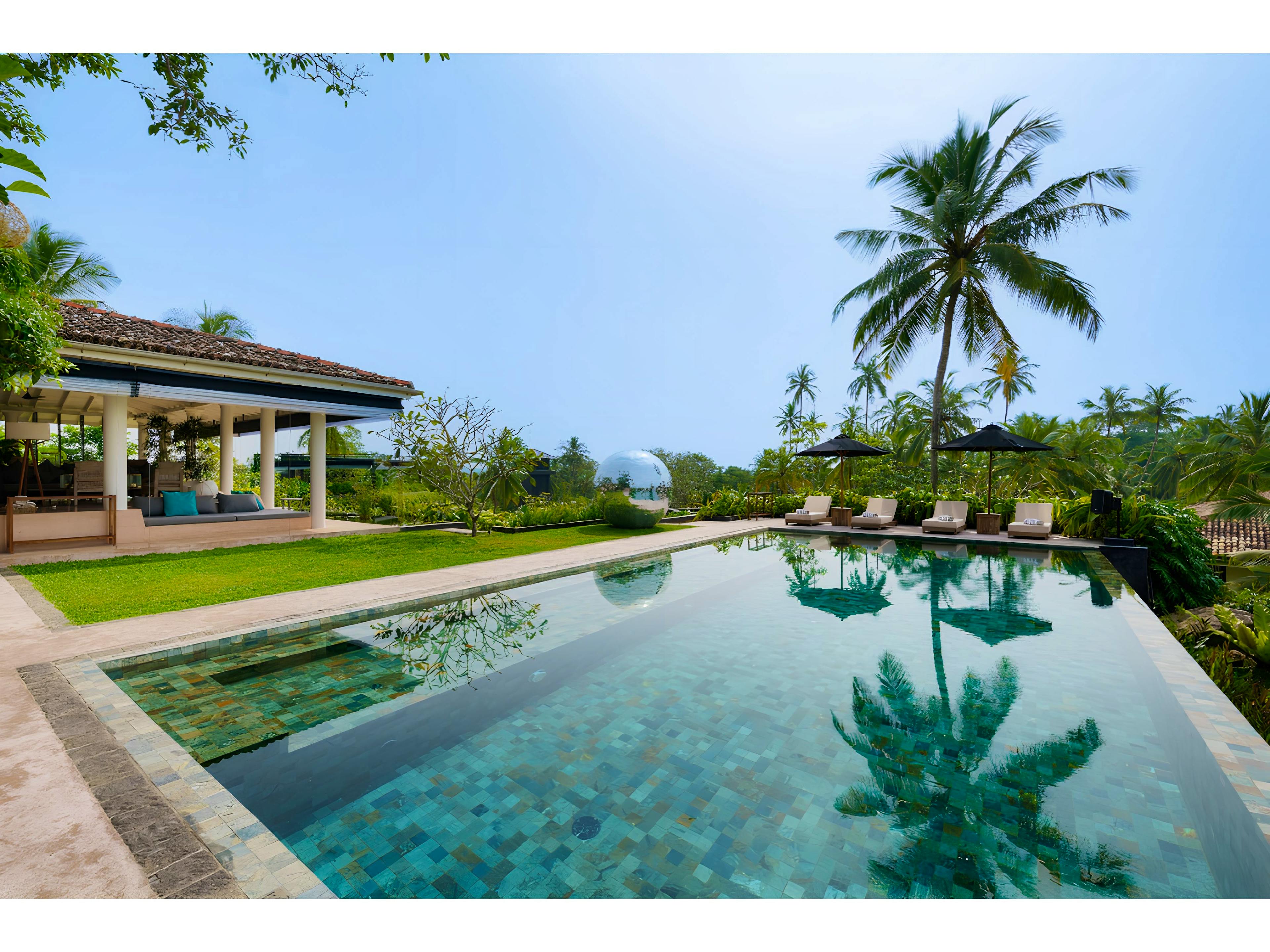 The Almond Leaf - Image 1