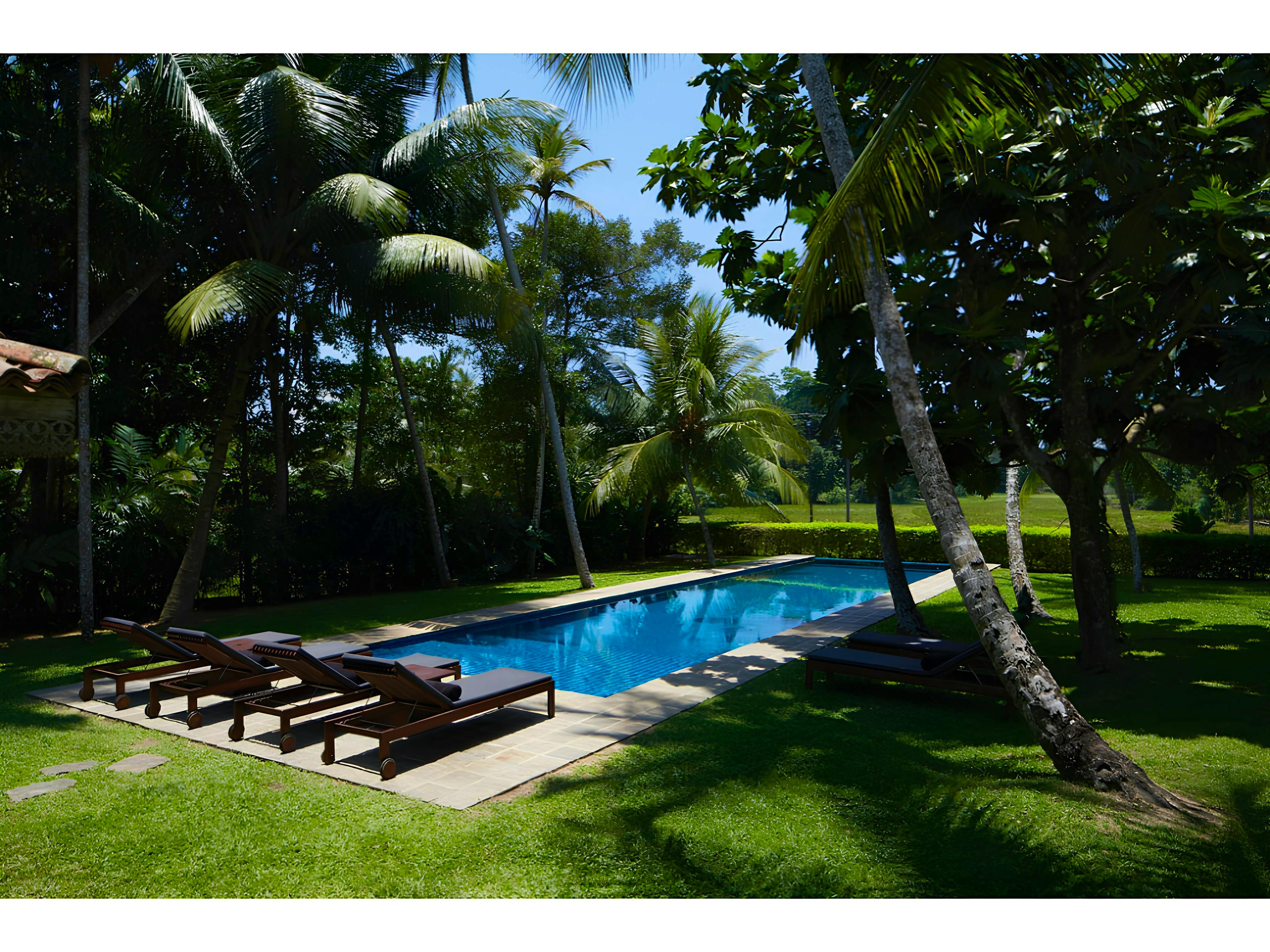 The Sparkling Water - Image 1