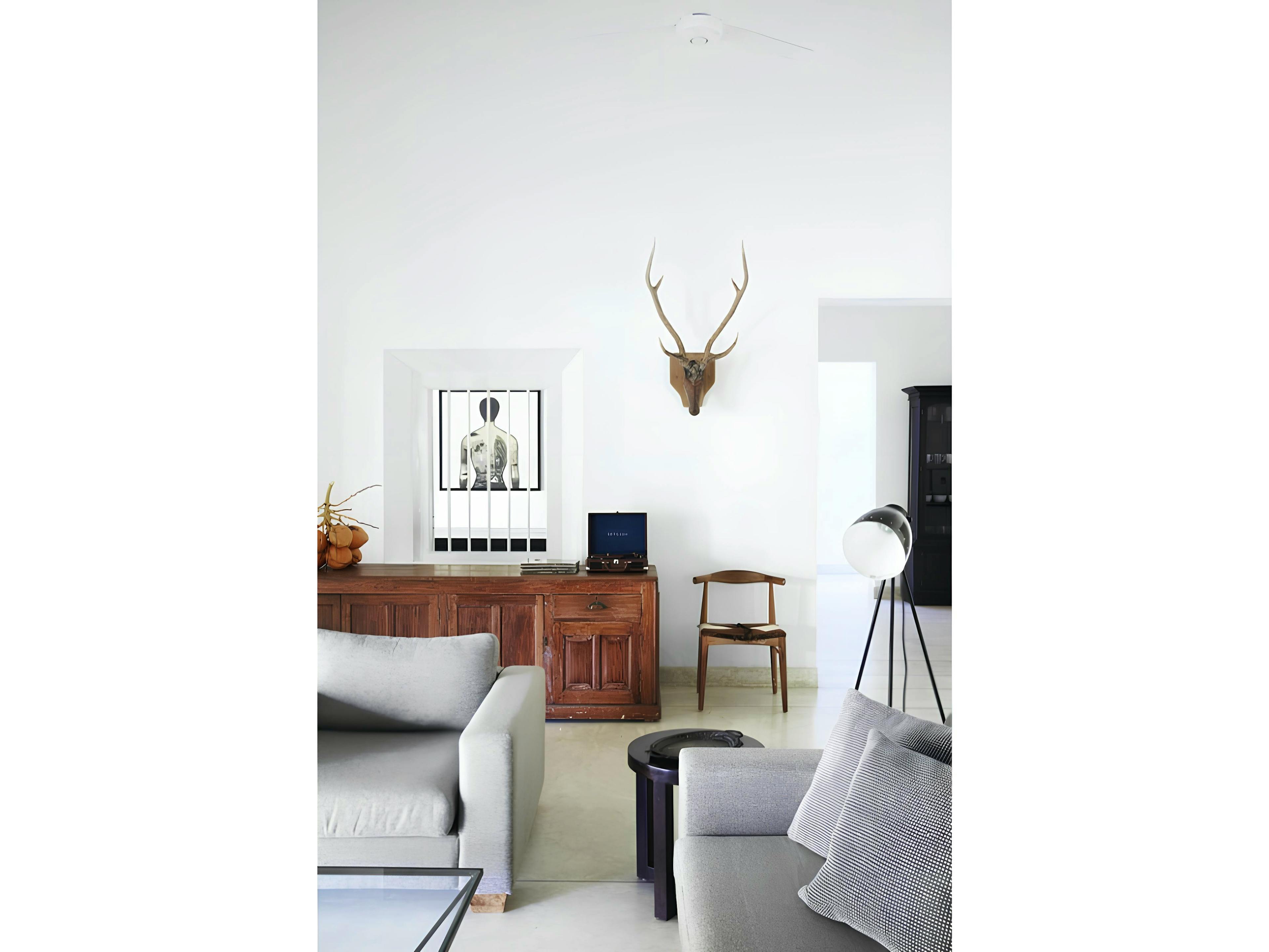 The Sparkling Water - Image 3