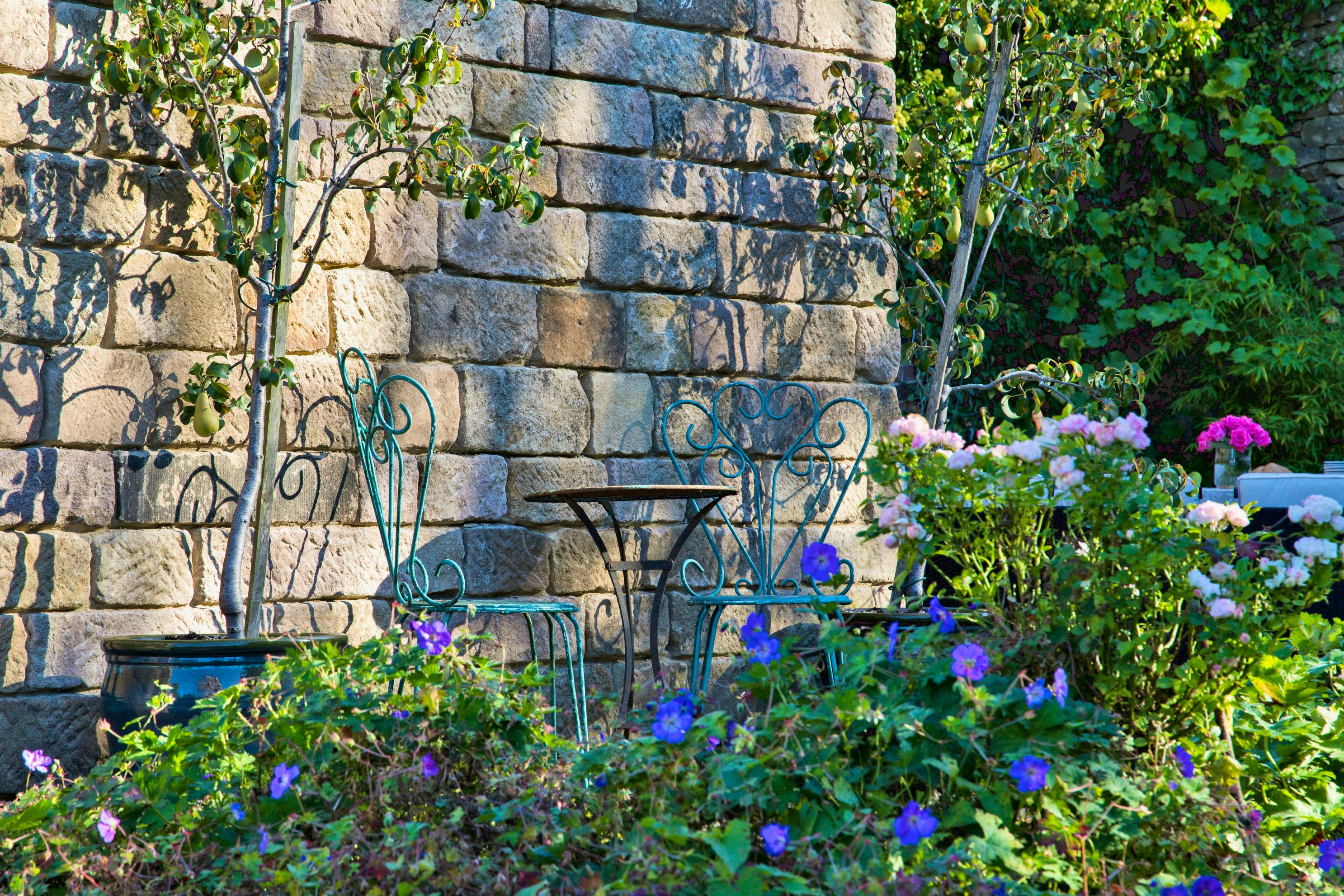 Rear patio with BBQ and seating