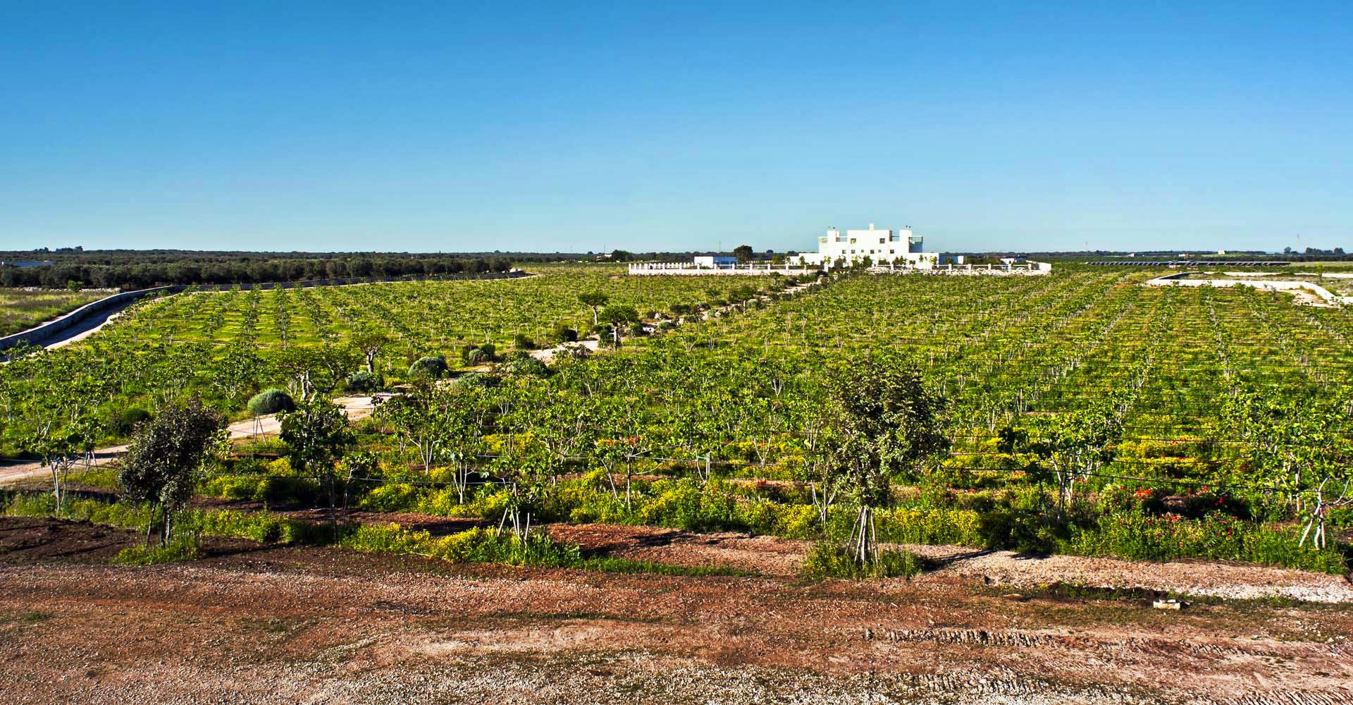 10 Best CoolStays in Puglia