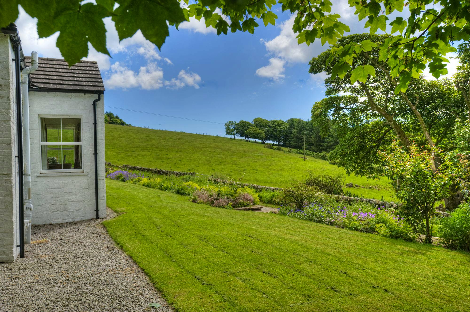 View from front lawn