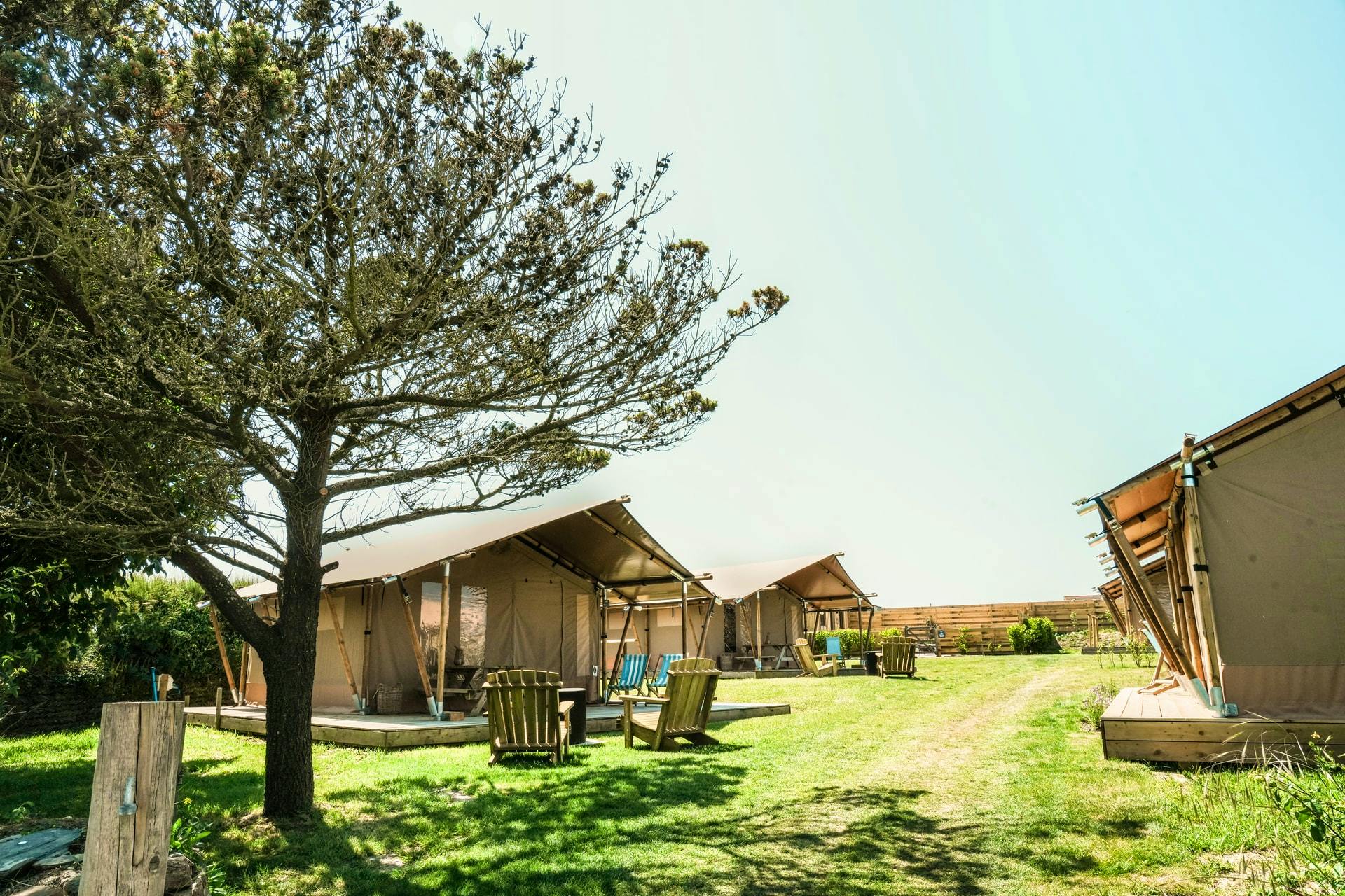 This Week's New Finds