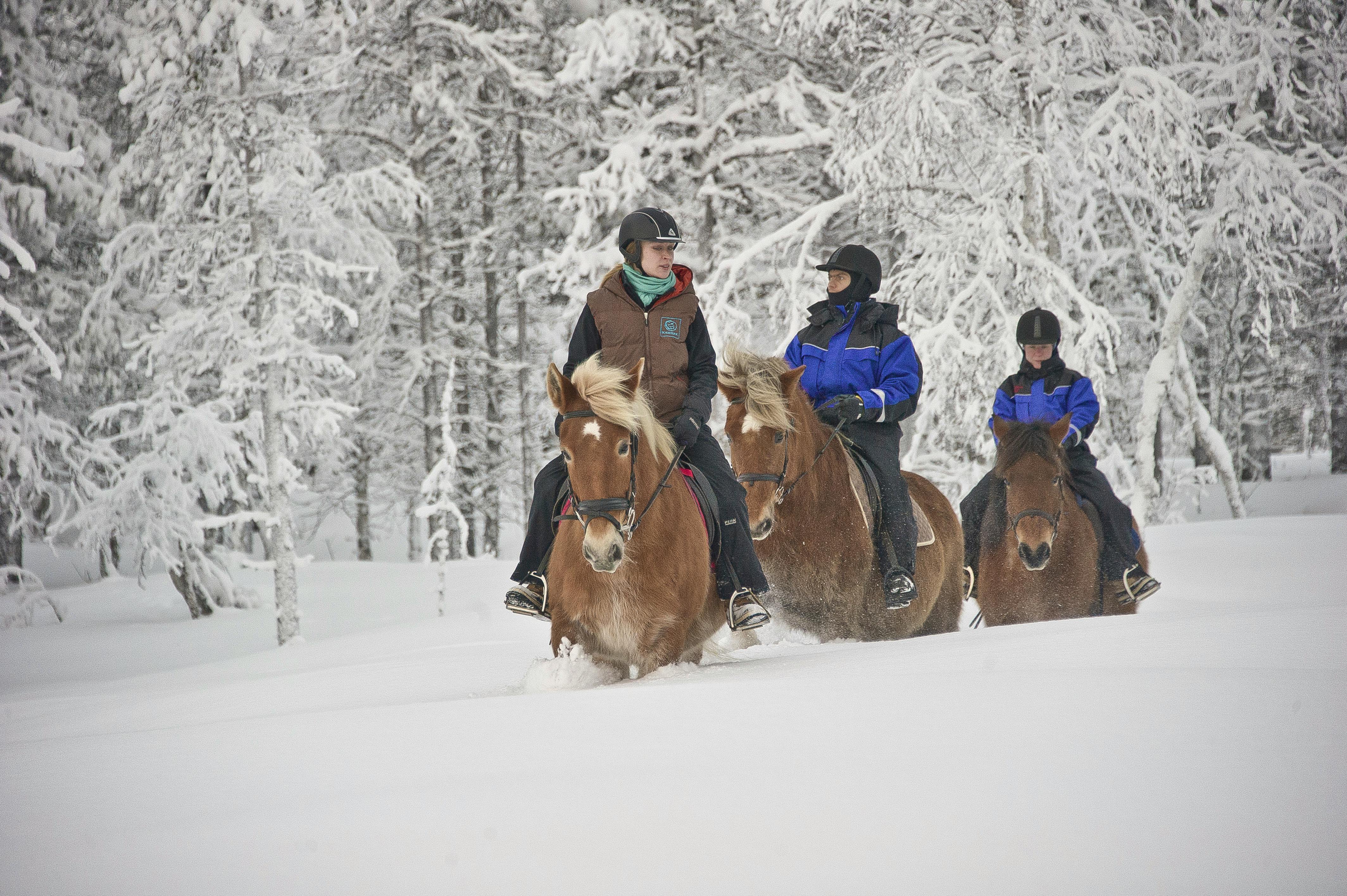 Kakslauttanen Arctic Resort<br />www.kakslauttanen.fi