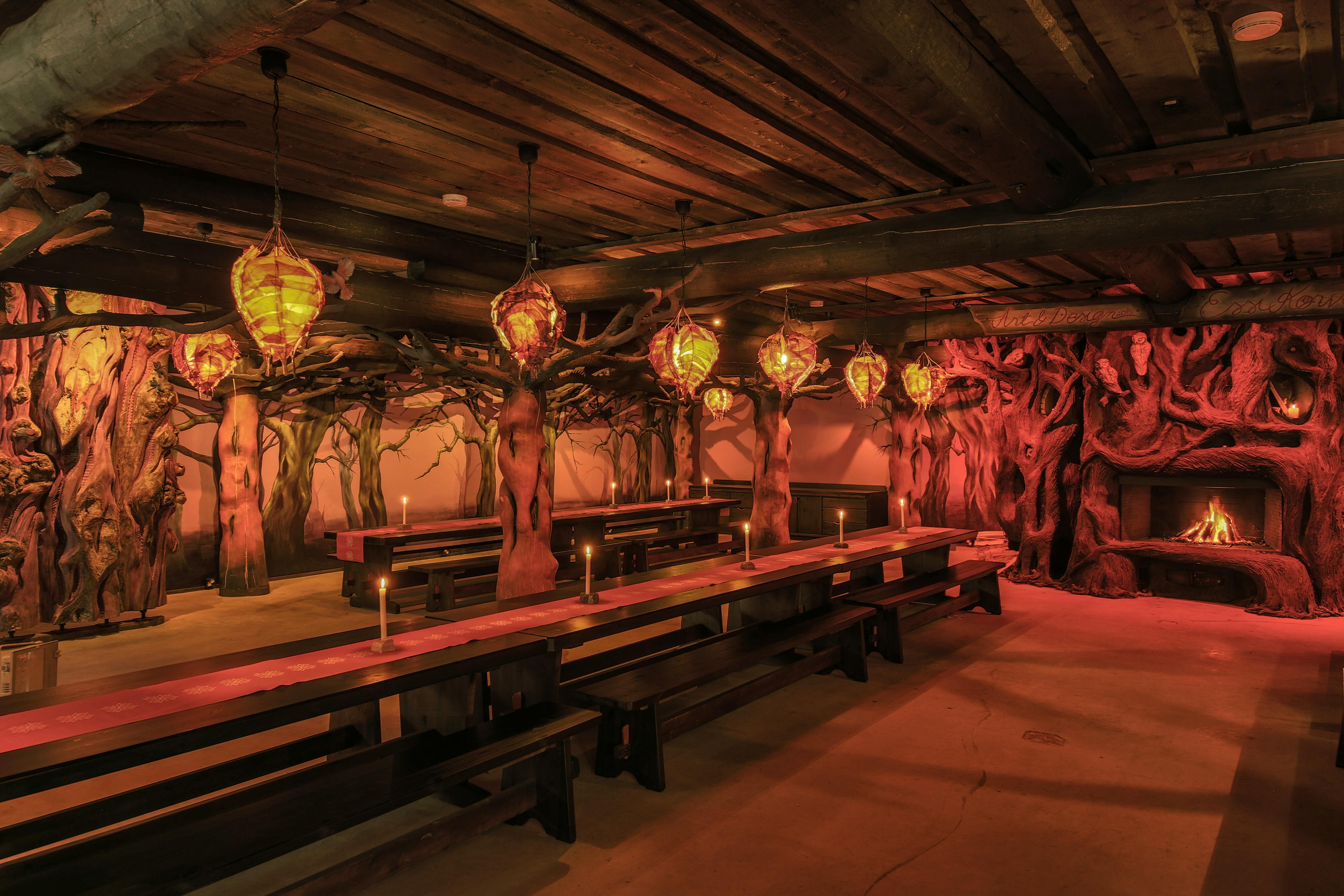 Kakslauttanen Arctic Resort<br />www.kakslauttanen.fi