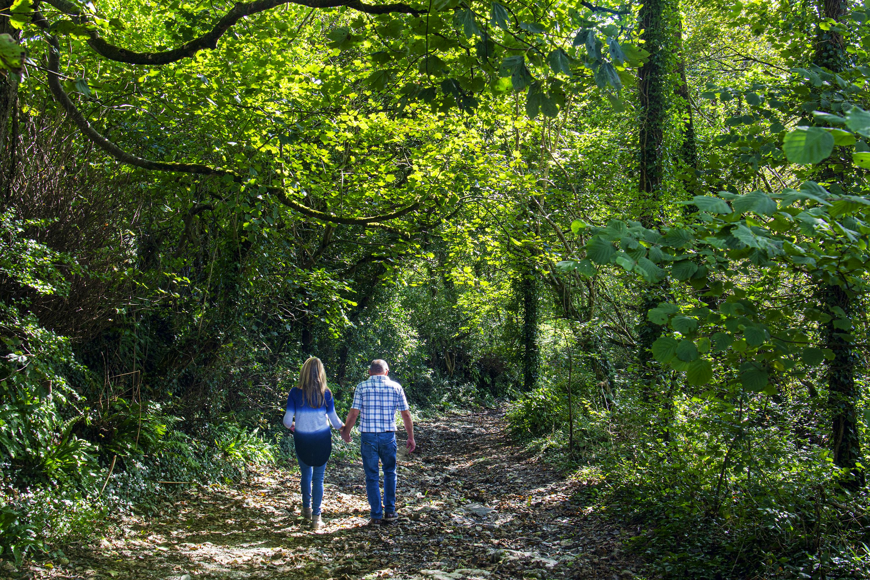 Lovely walking nearby