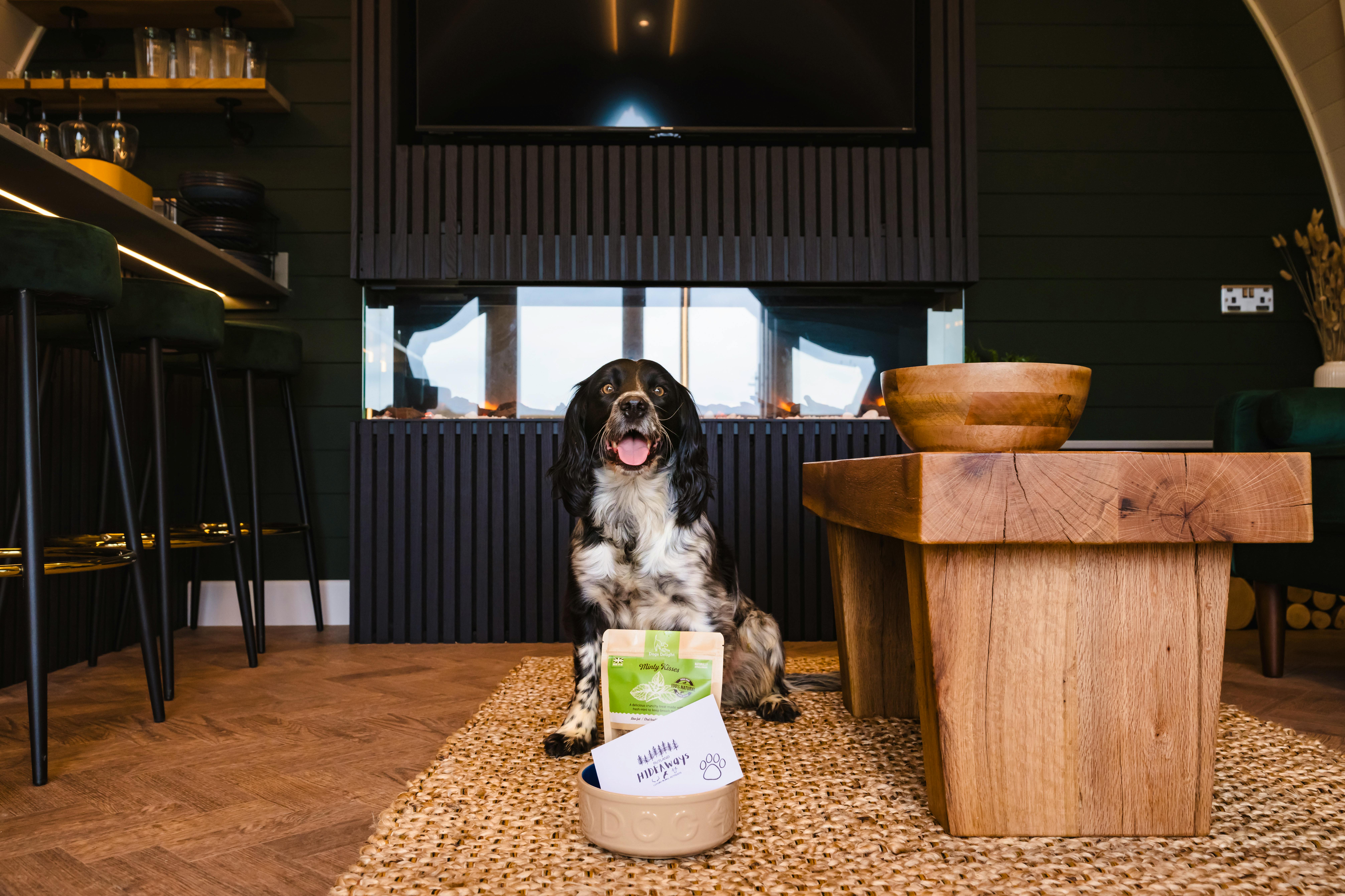 Furry Friends Welcome