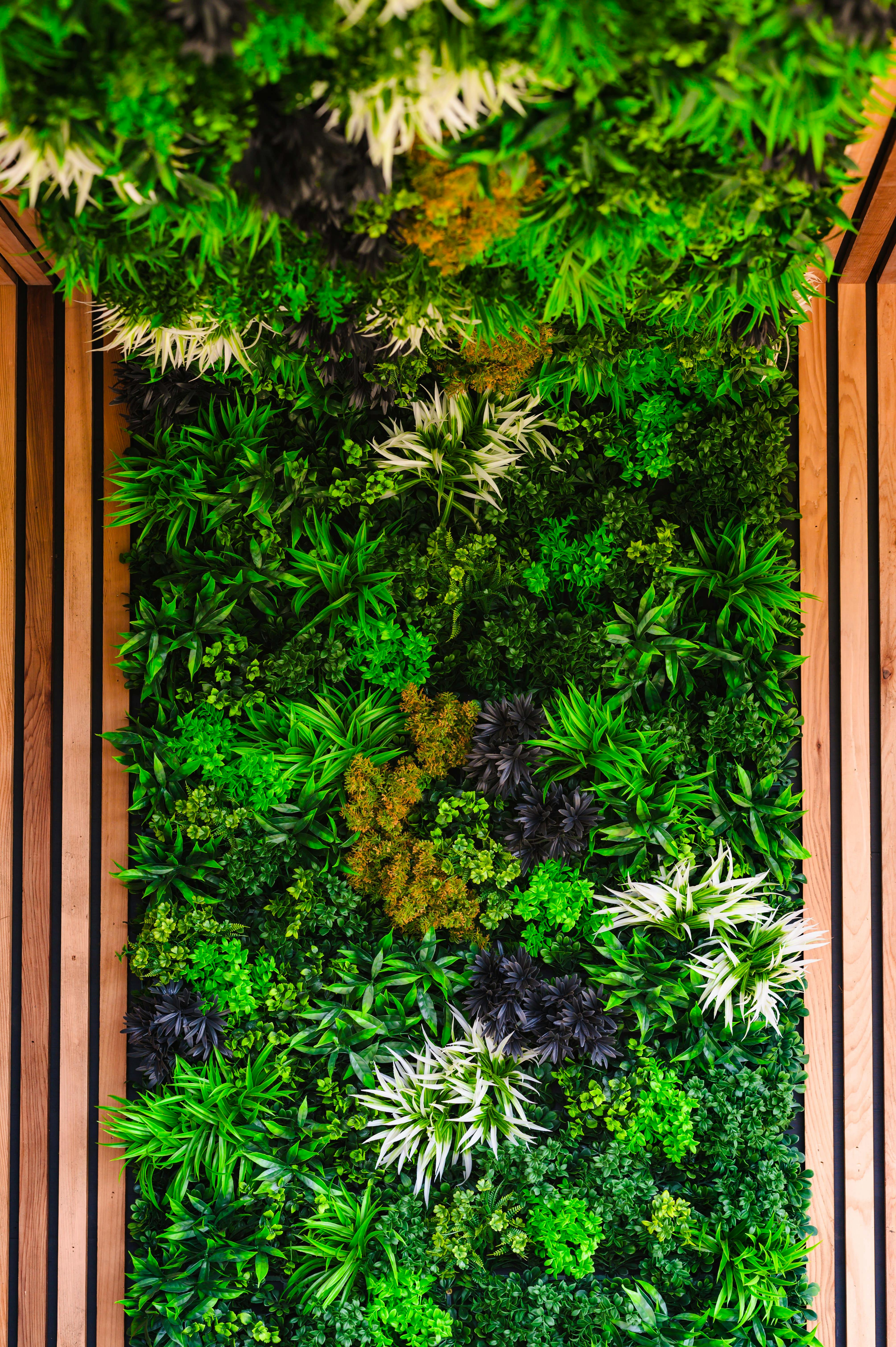 Kite Lodge - Feature Wall