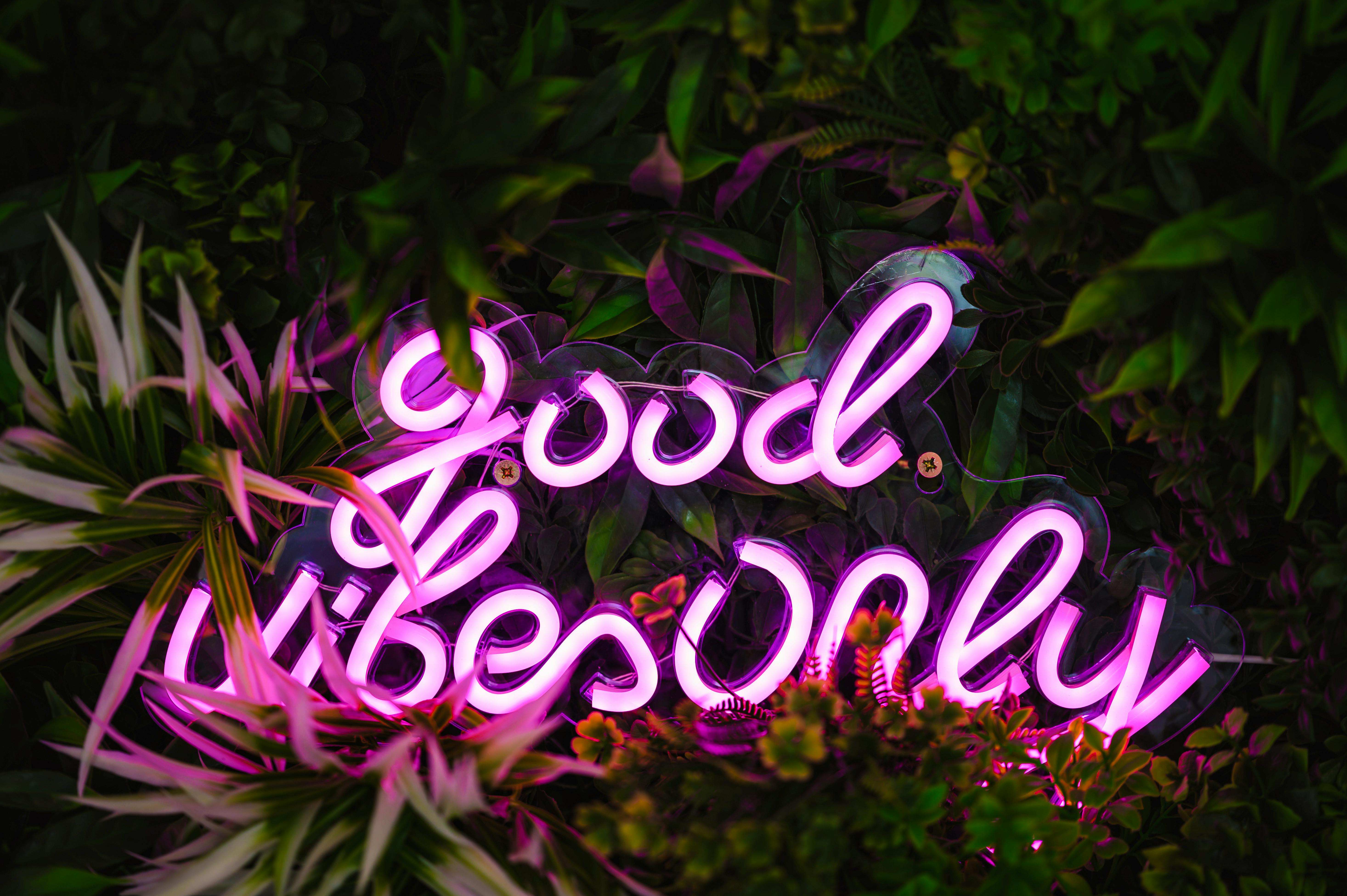 \"Good Vibes Only\" in Kite Lodge 