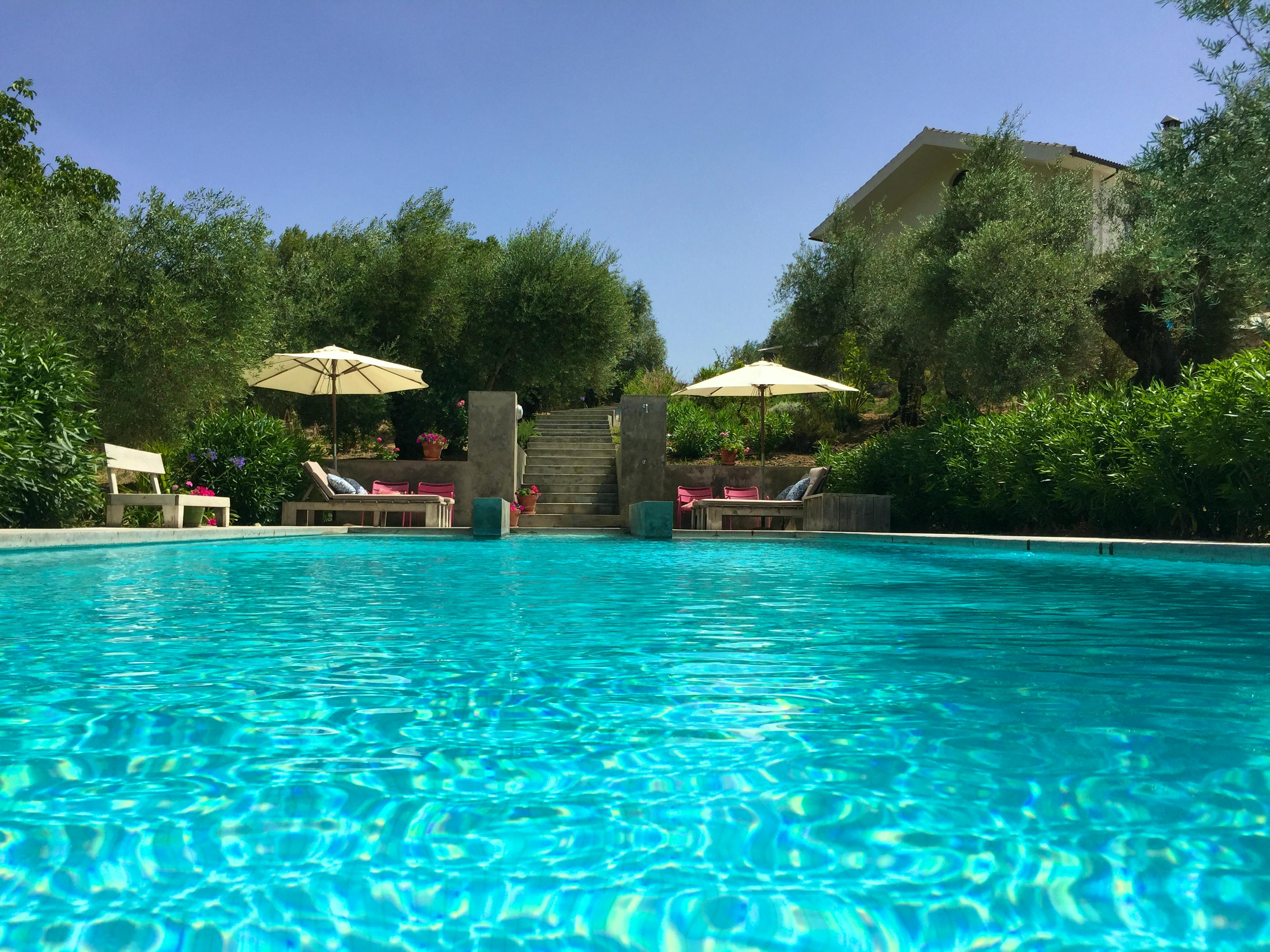 El Toro Blanco - Image 2