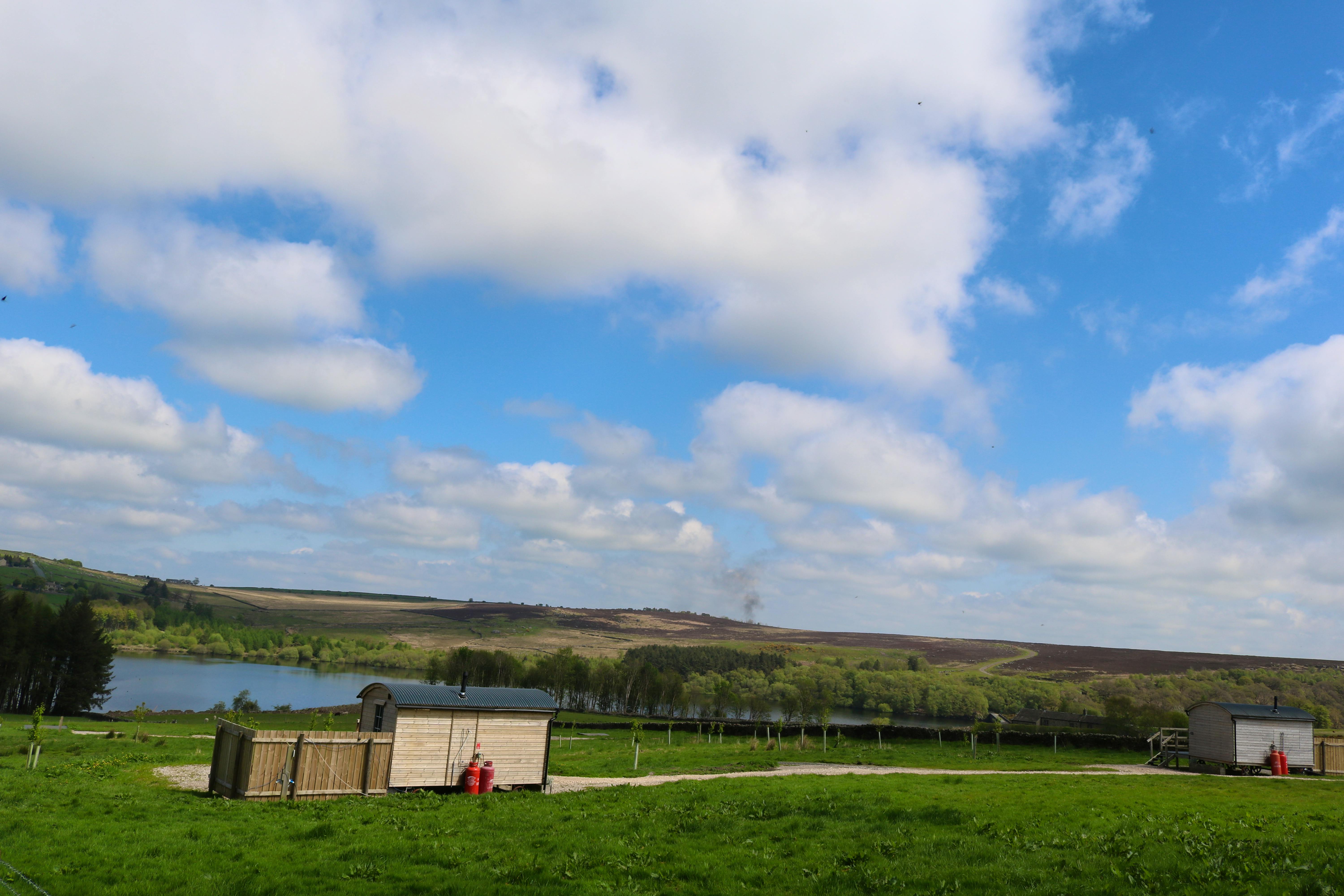 Herdwick left, Swaledale right