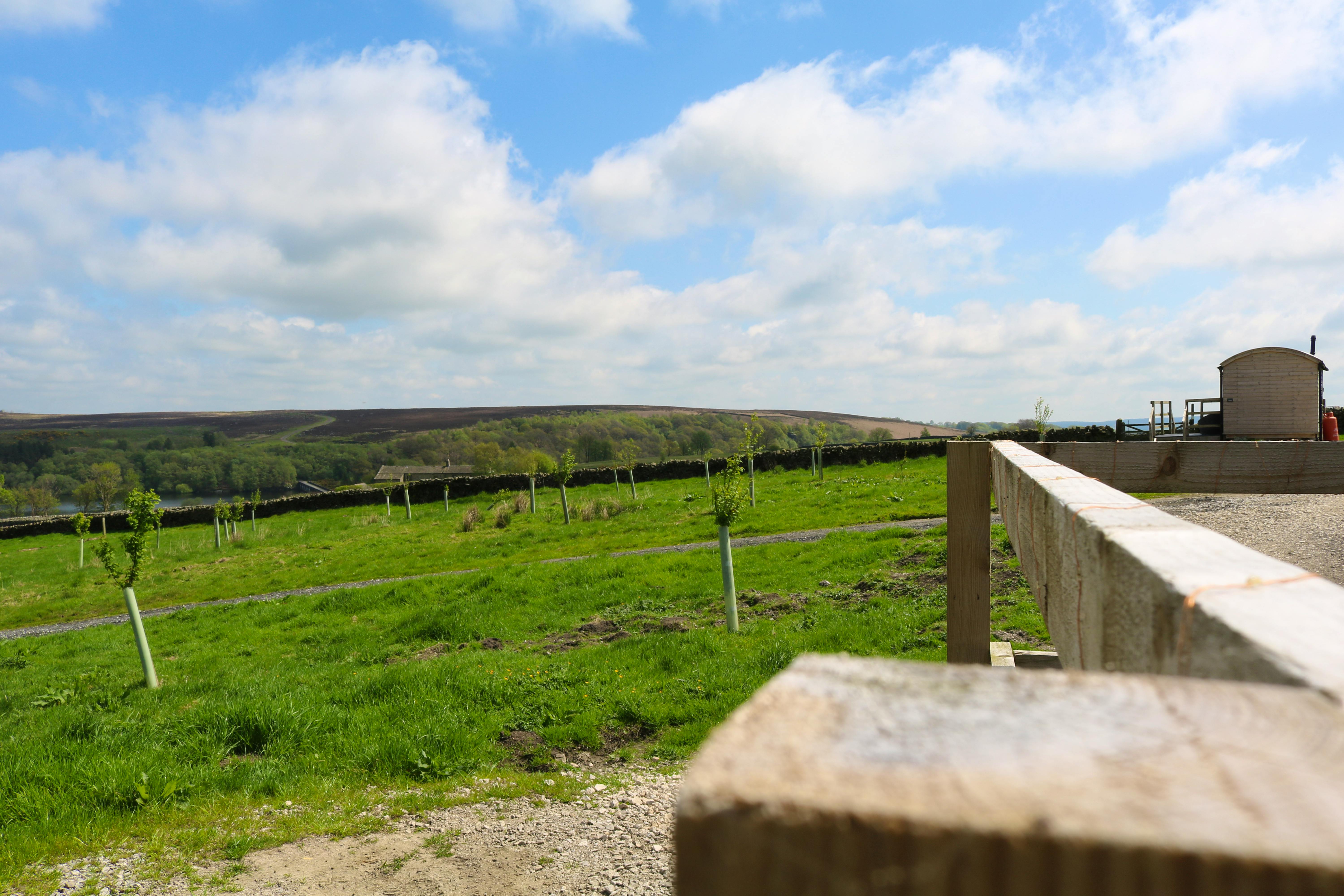 View from Herdwick to Swaledale