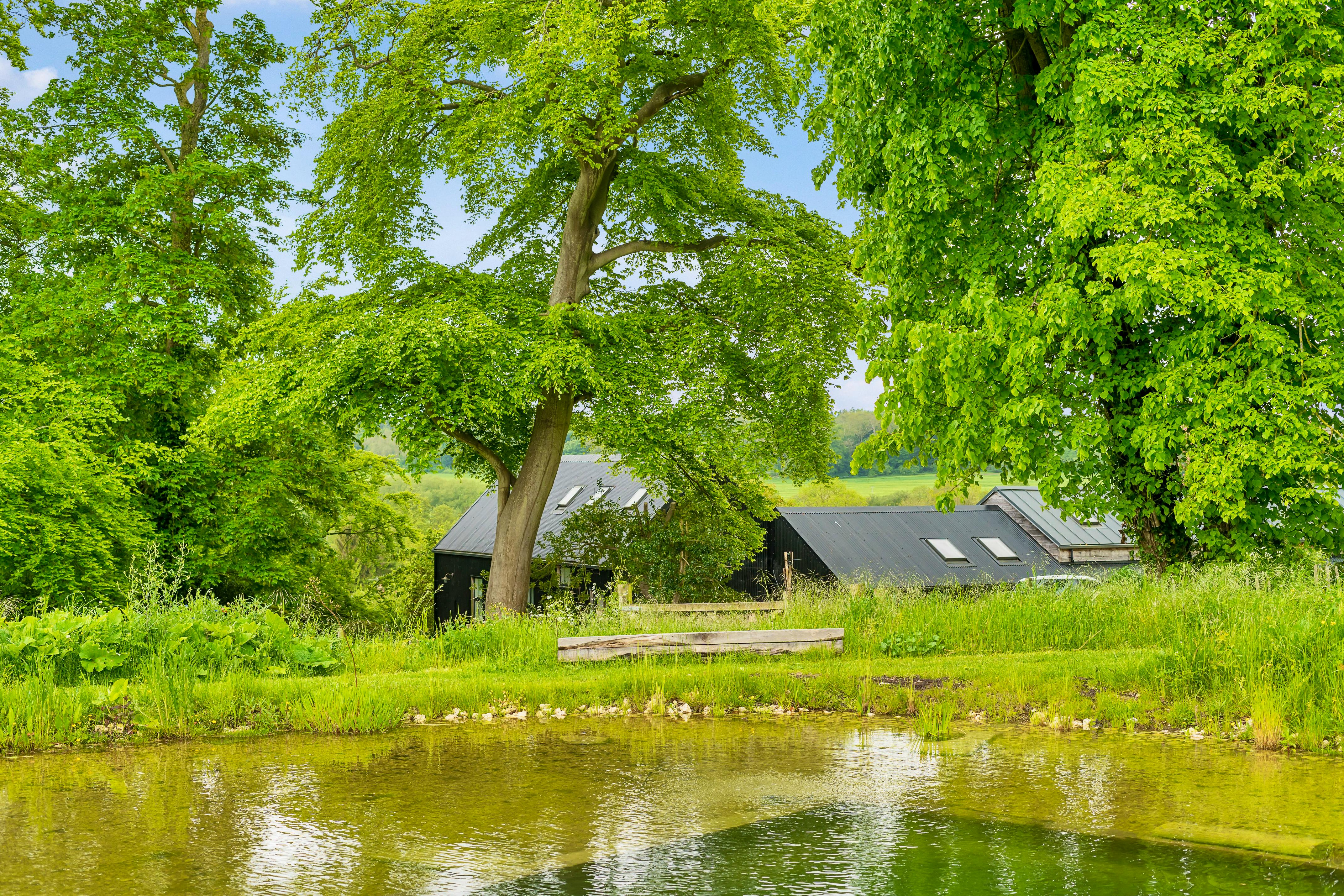 View from swimming hut 