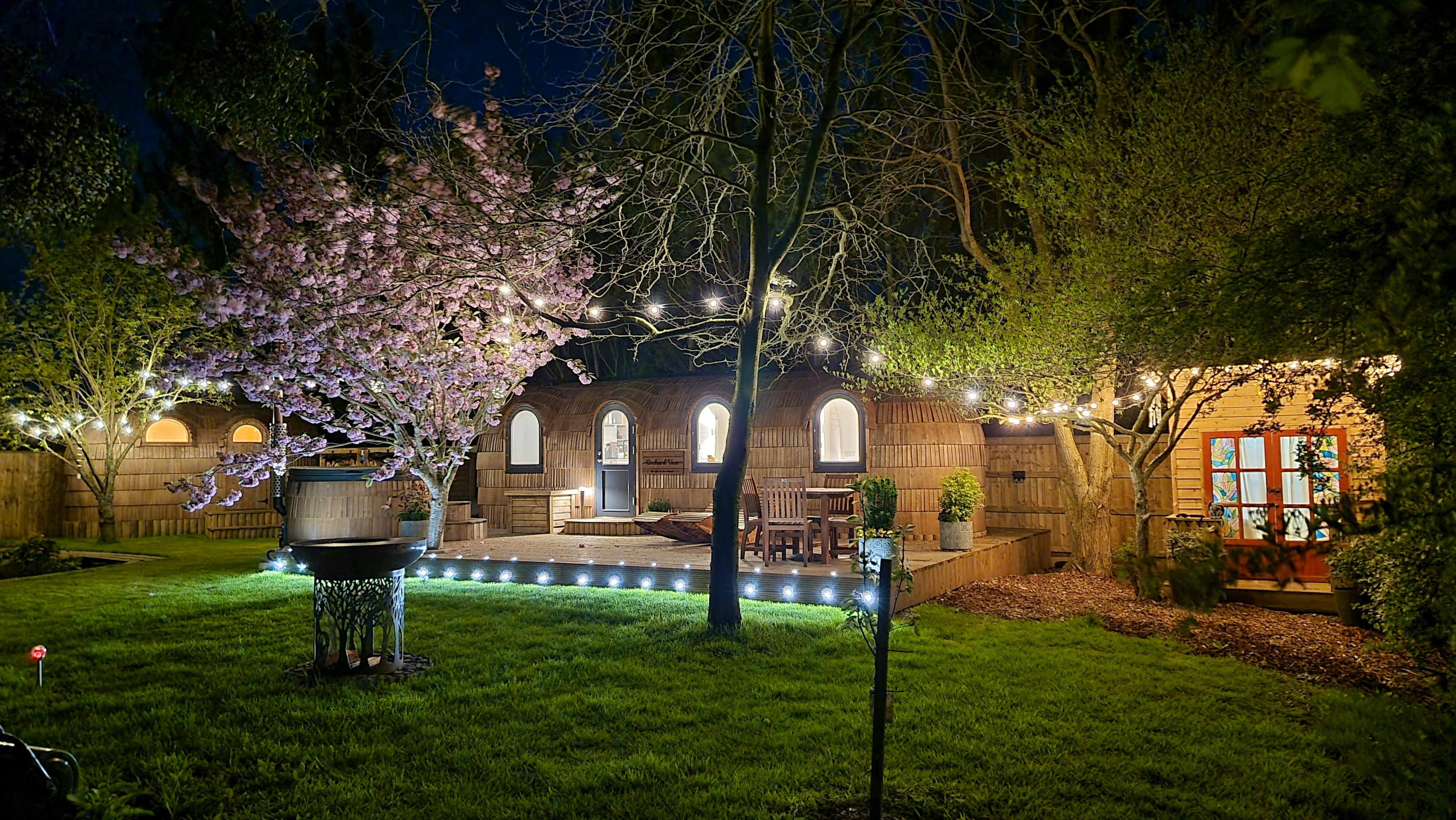 Orchard View by Night