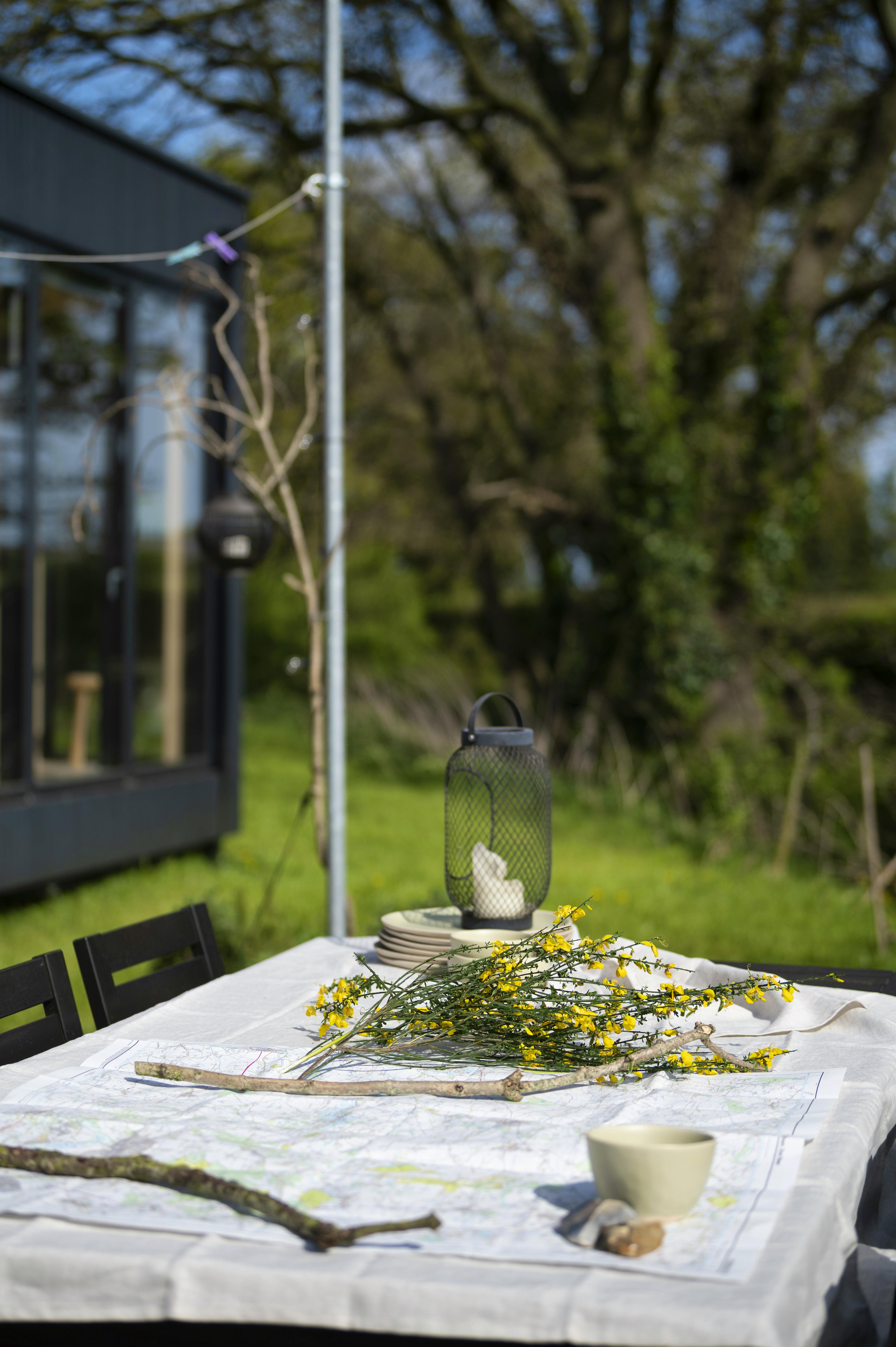 Field view deck and BBQ