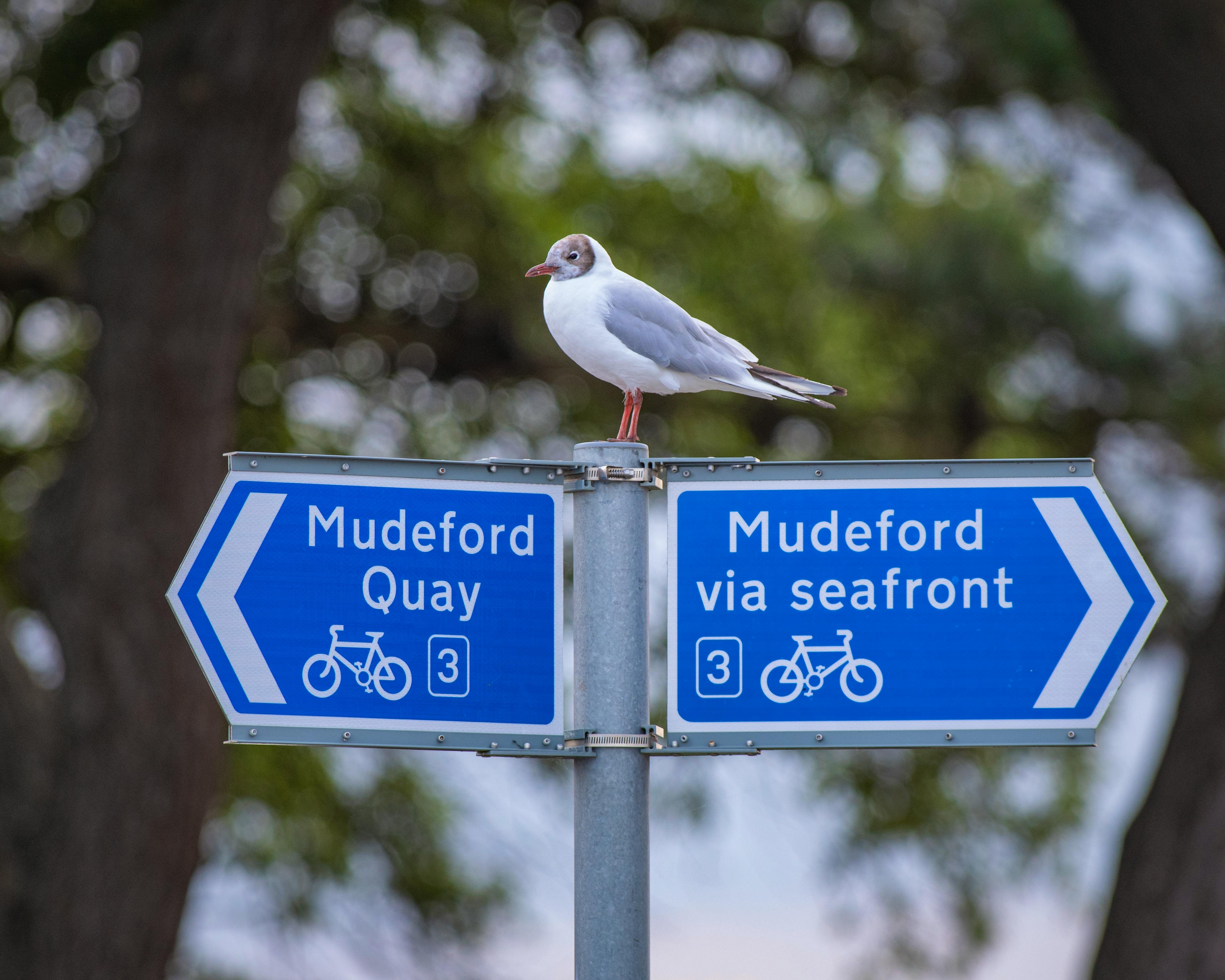 Mudeford Quay