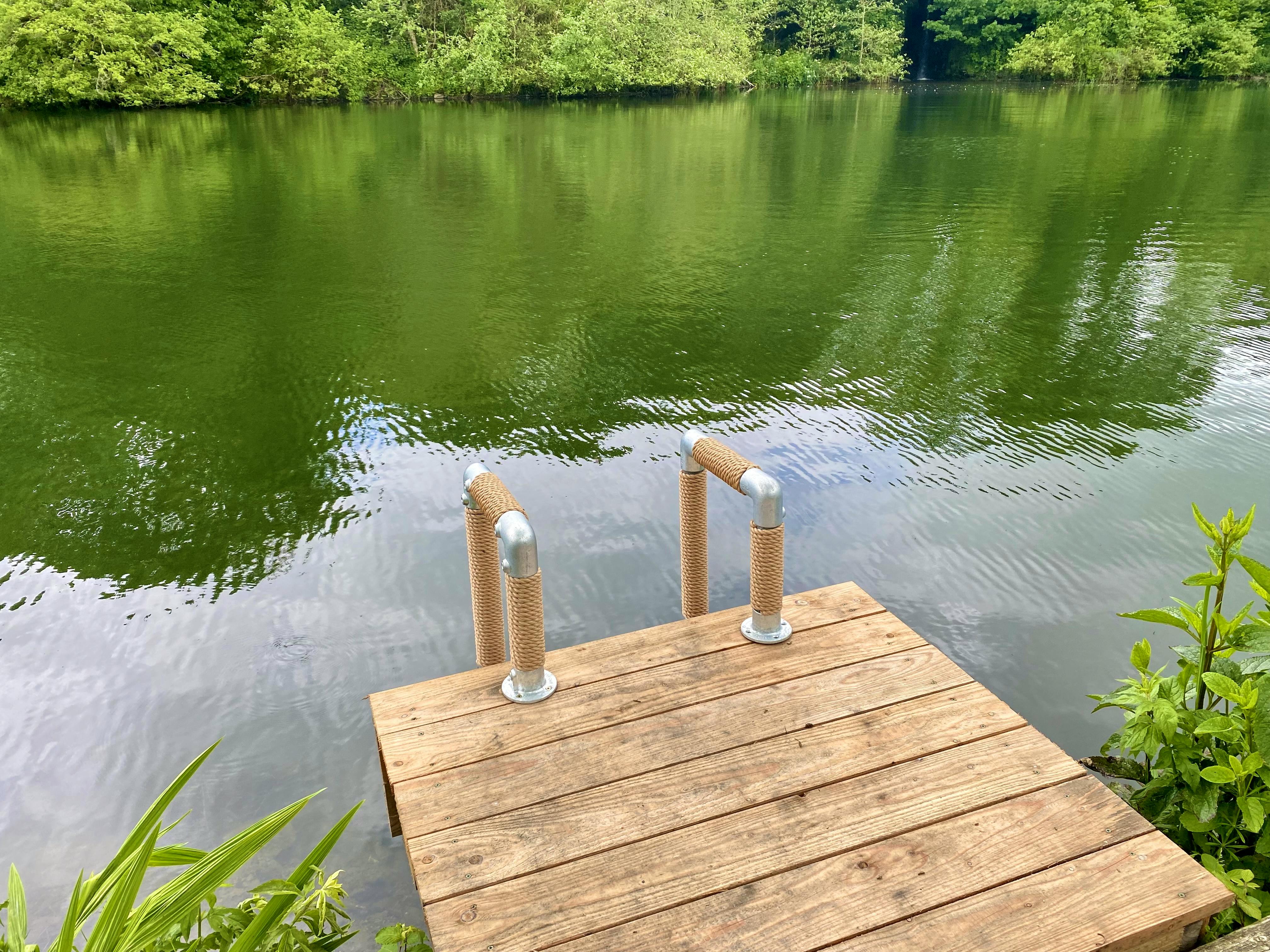 Wild swim ladder Kingfisher