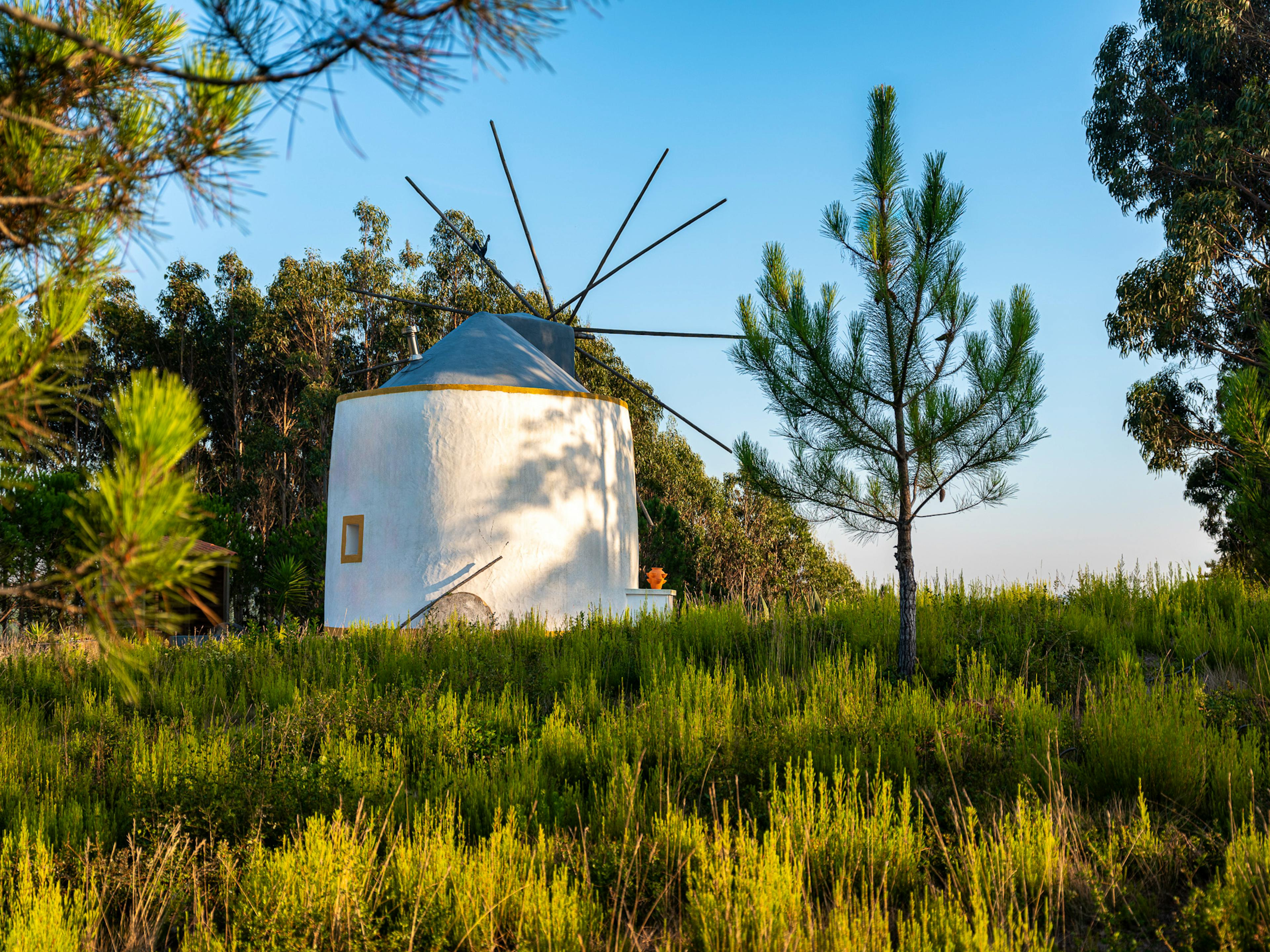 Forest Windmill - Image 5
