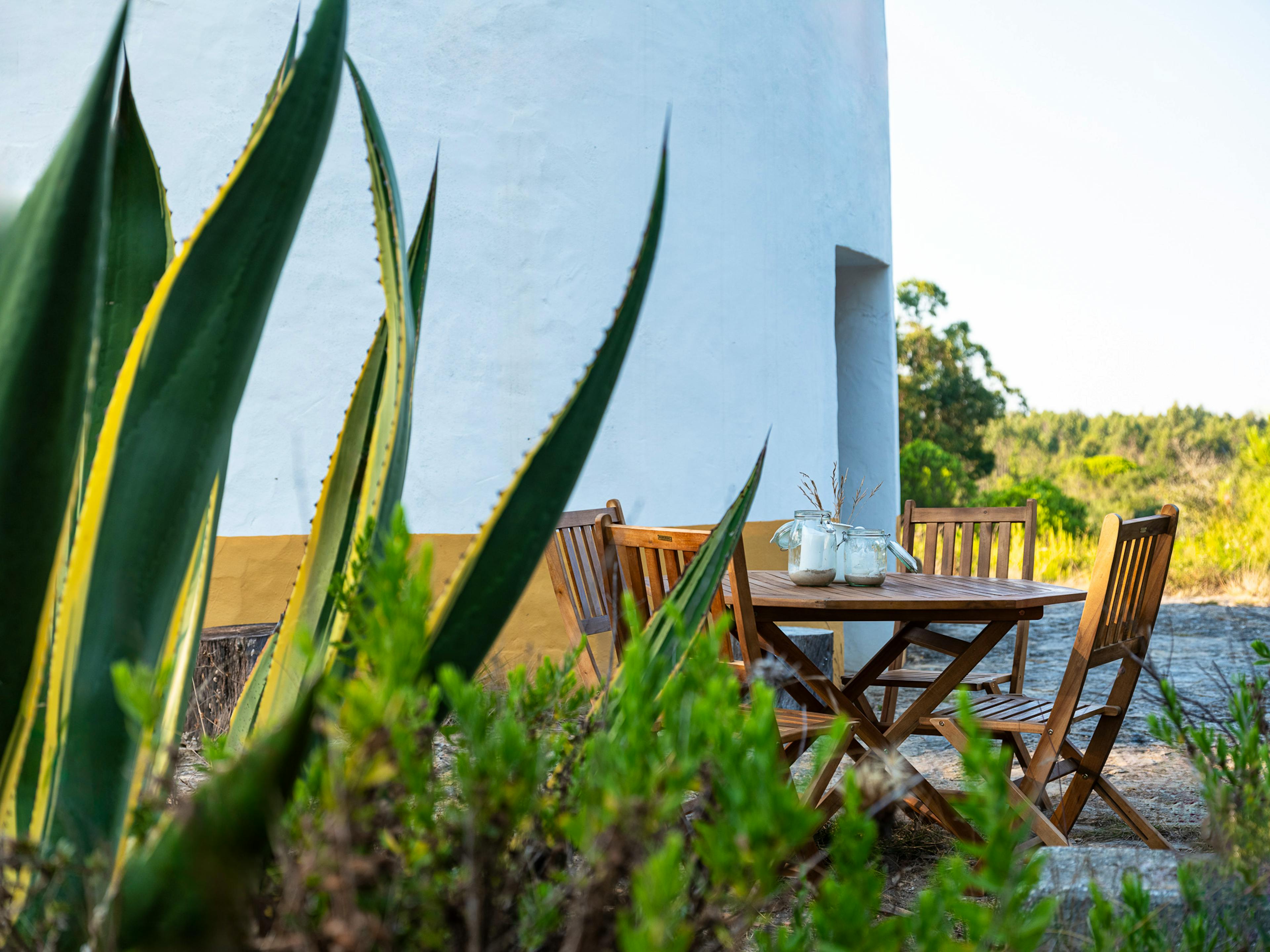 Forest Windmill - Image 4