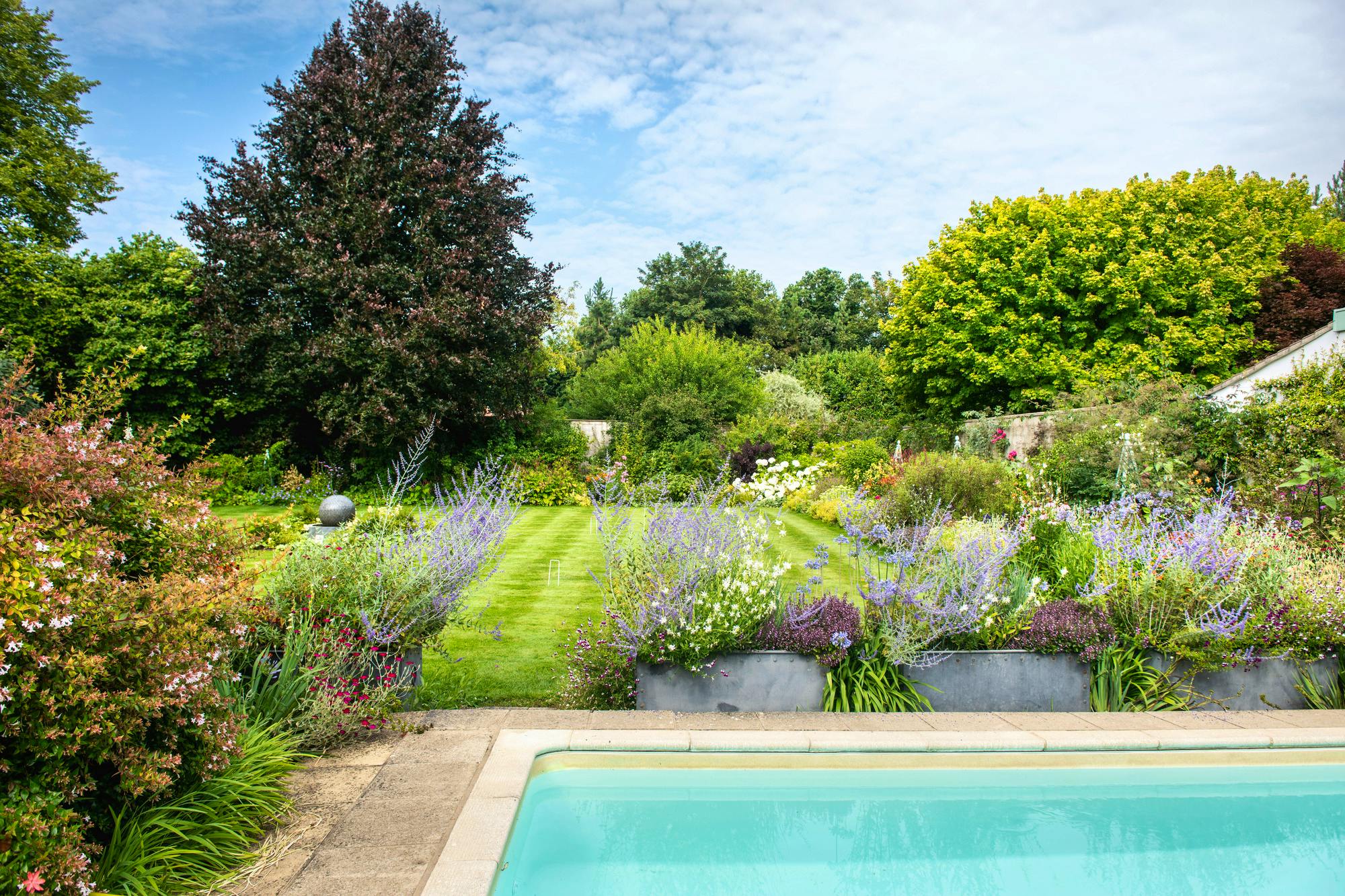 Swimming amongst the flowers
