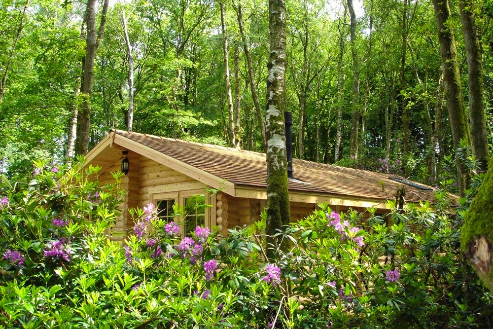 CoolStays has Cabin Fever!