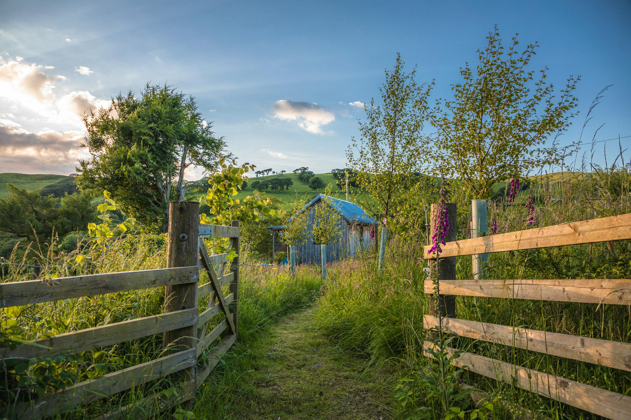 Welcome to your Writers Cabin