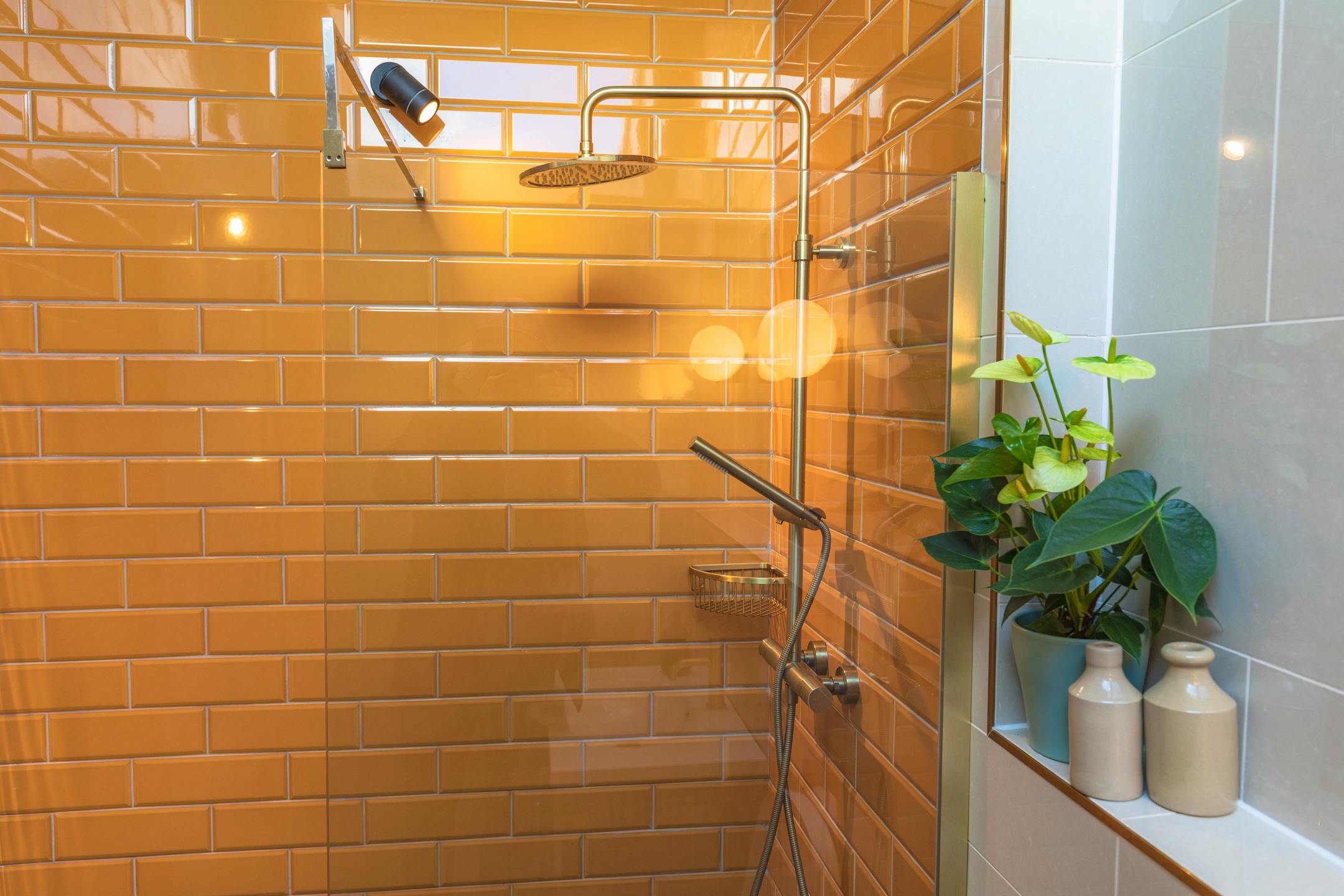 Spa-inspired Walk-in Shower Room
