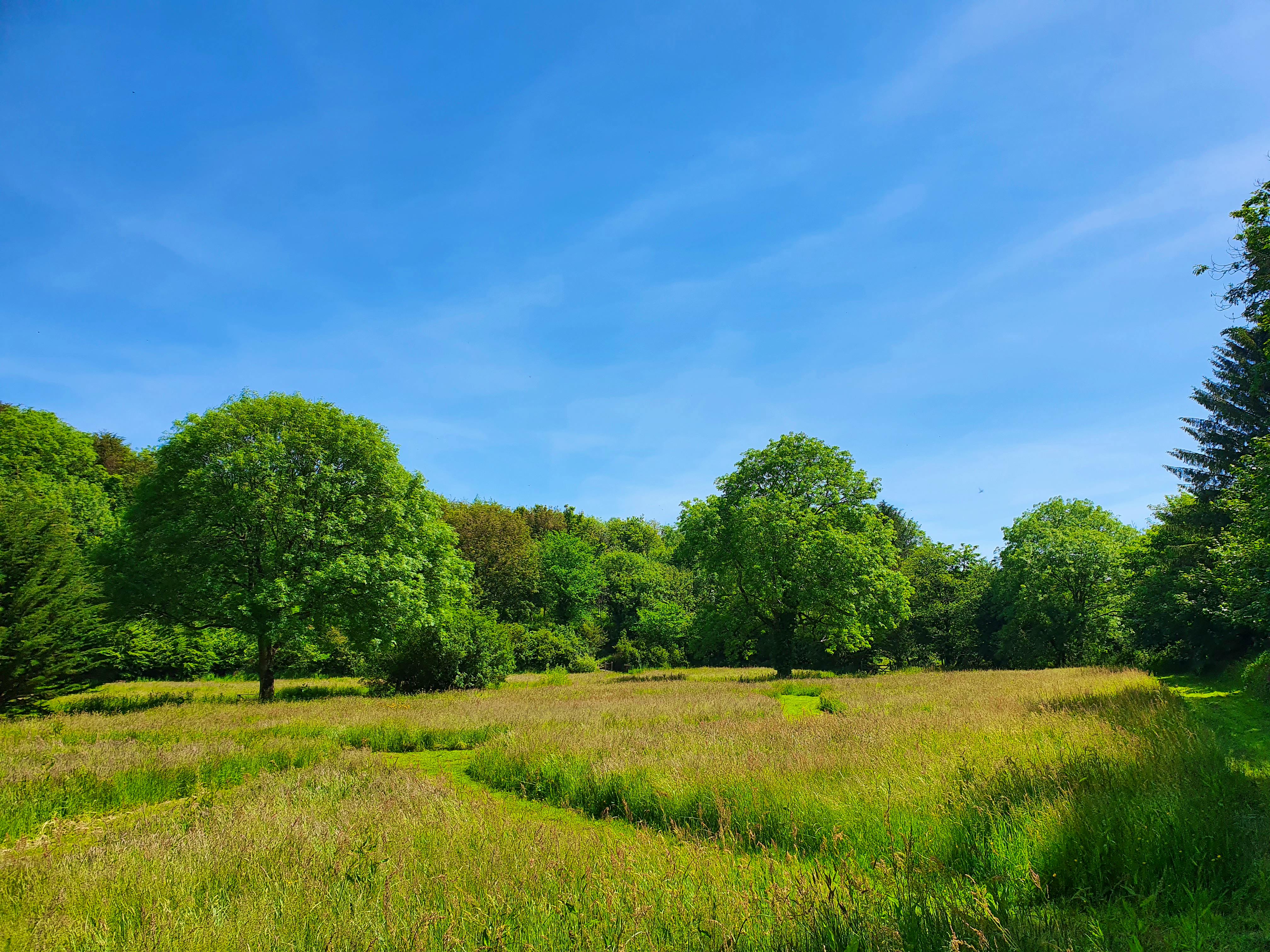 20 acres of land to explore