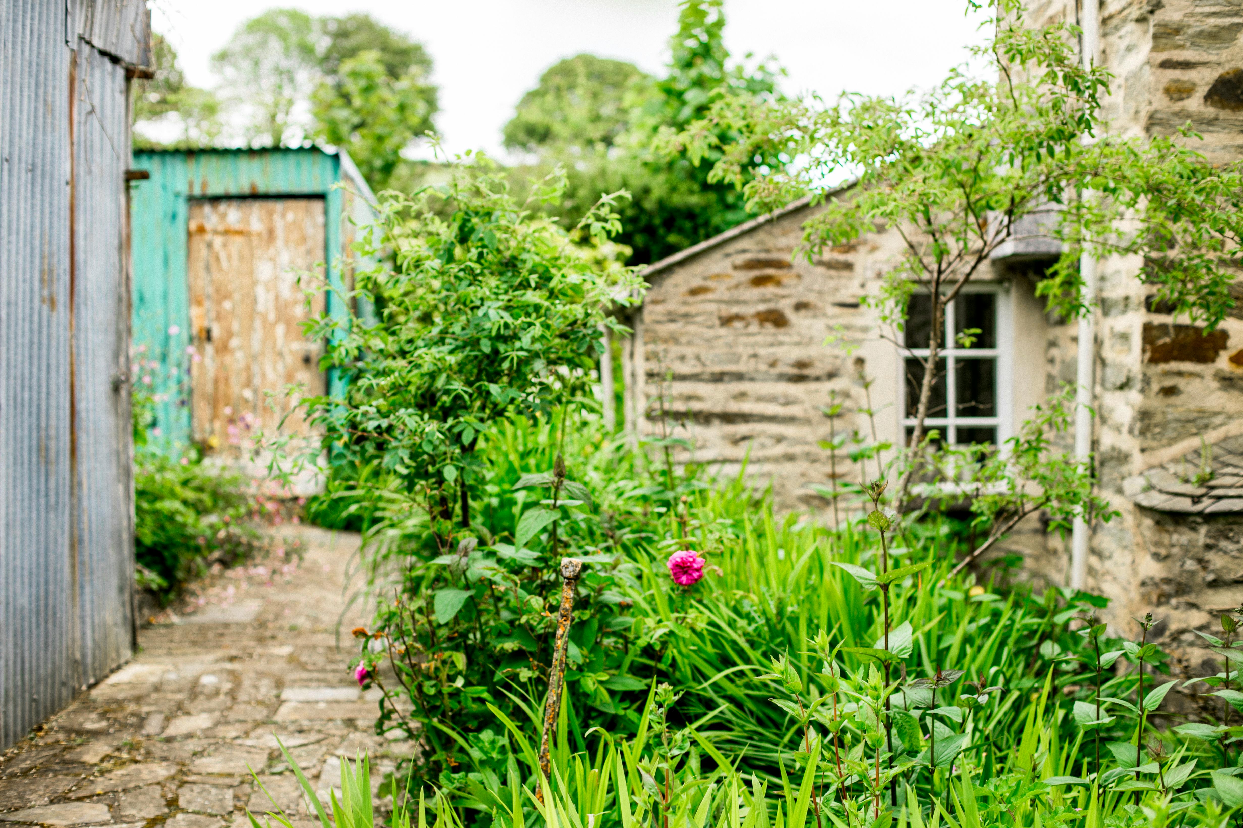 Cowslip garden & shed