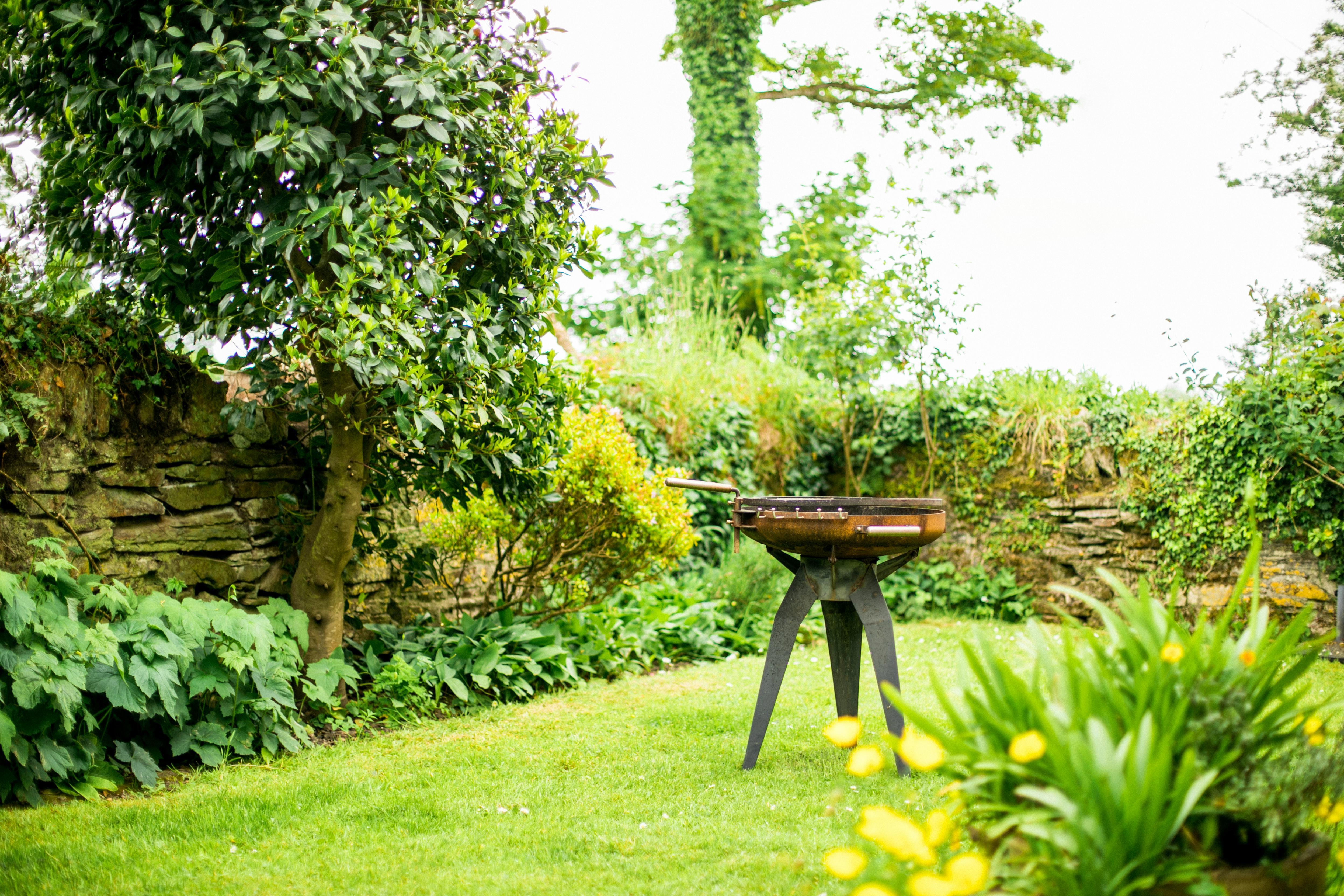 BBQ in Cowslip garden