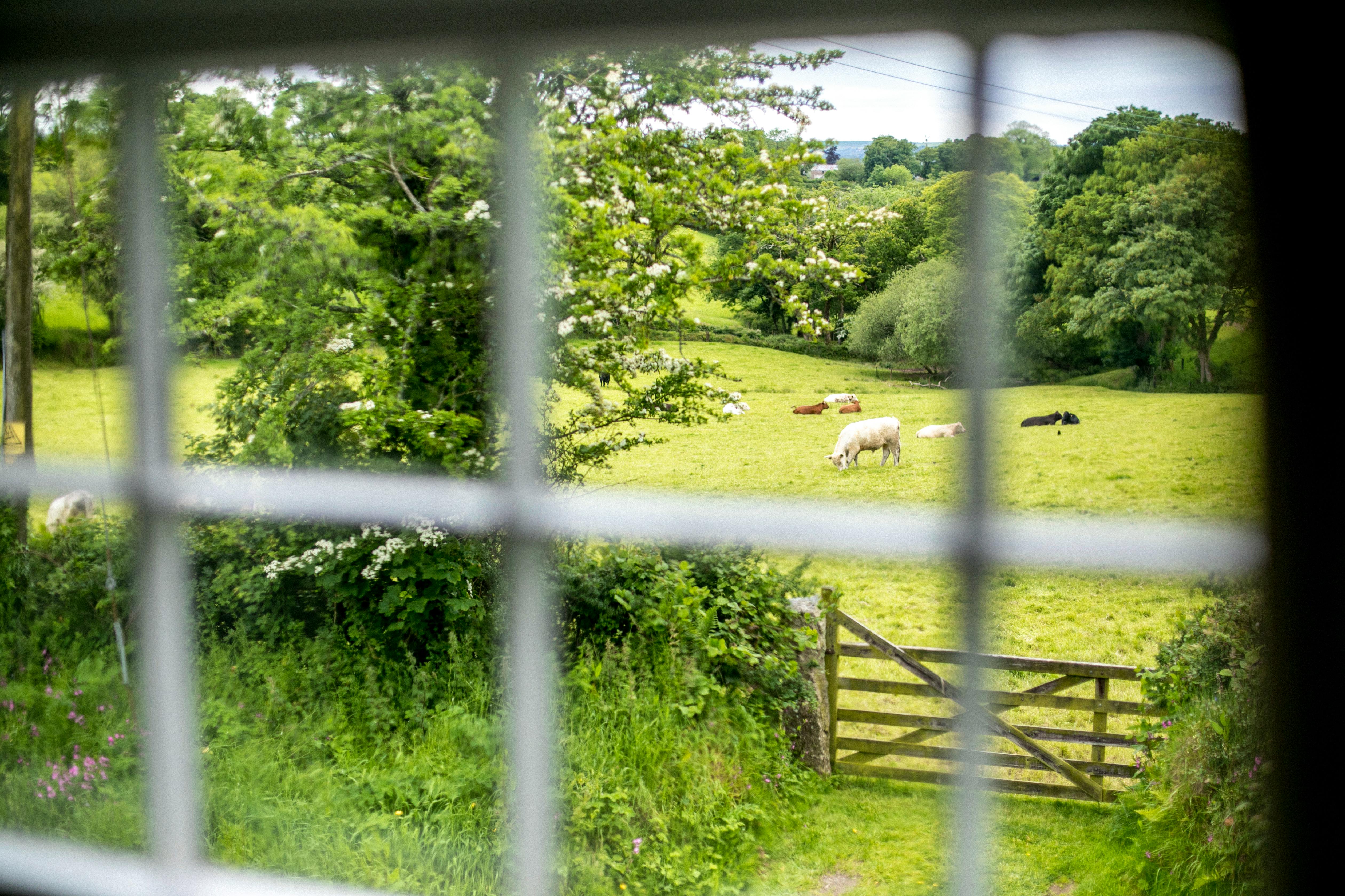 View from double bedroom