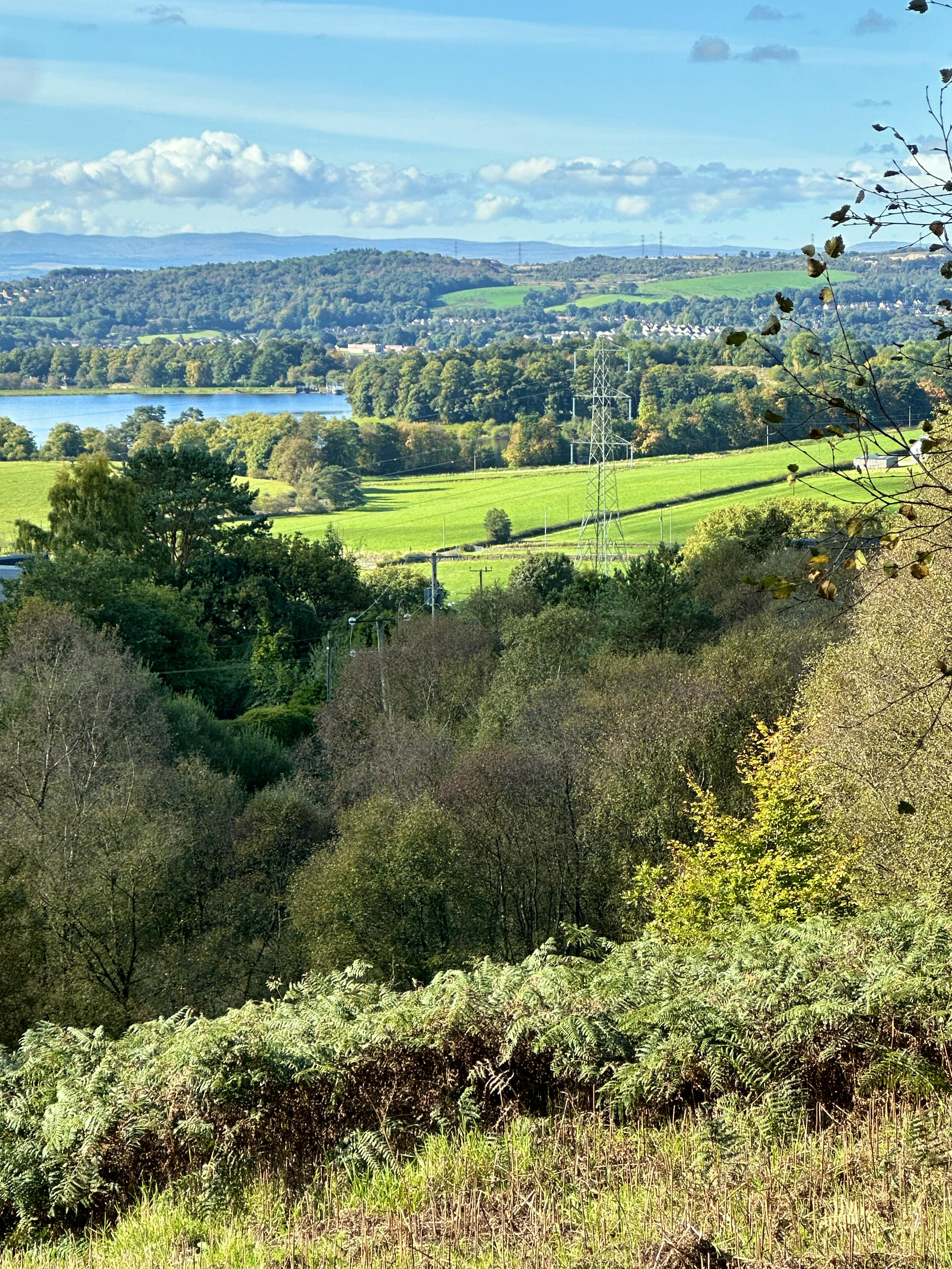 Views from The Roundhouse 