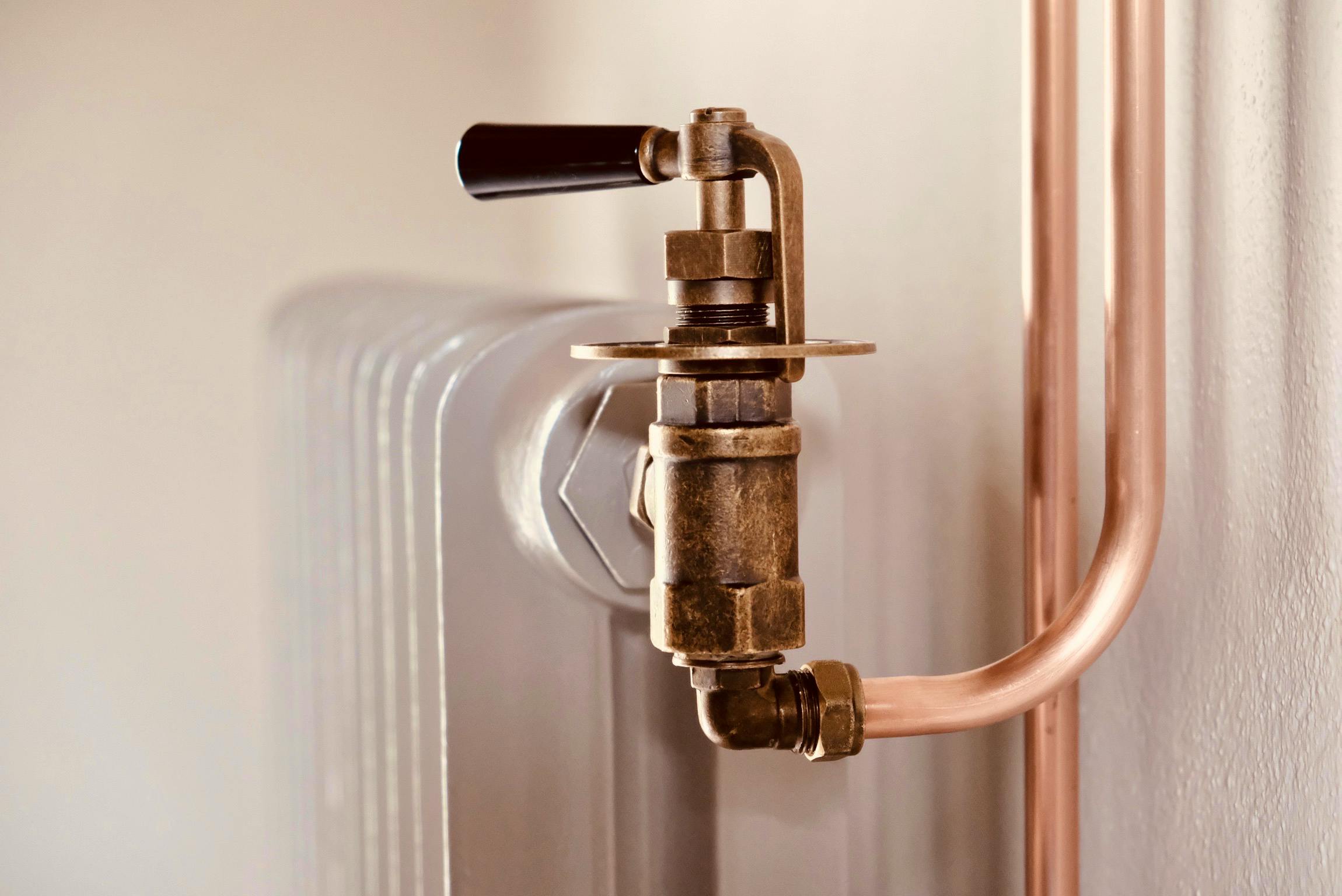 Radiators powered by biomass boiler