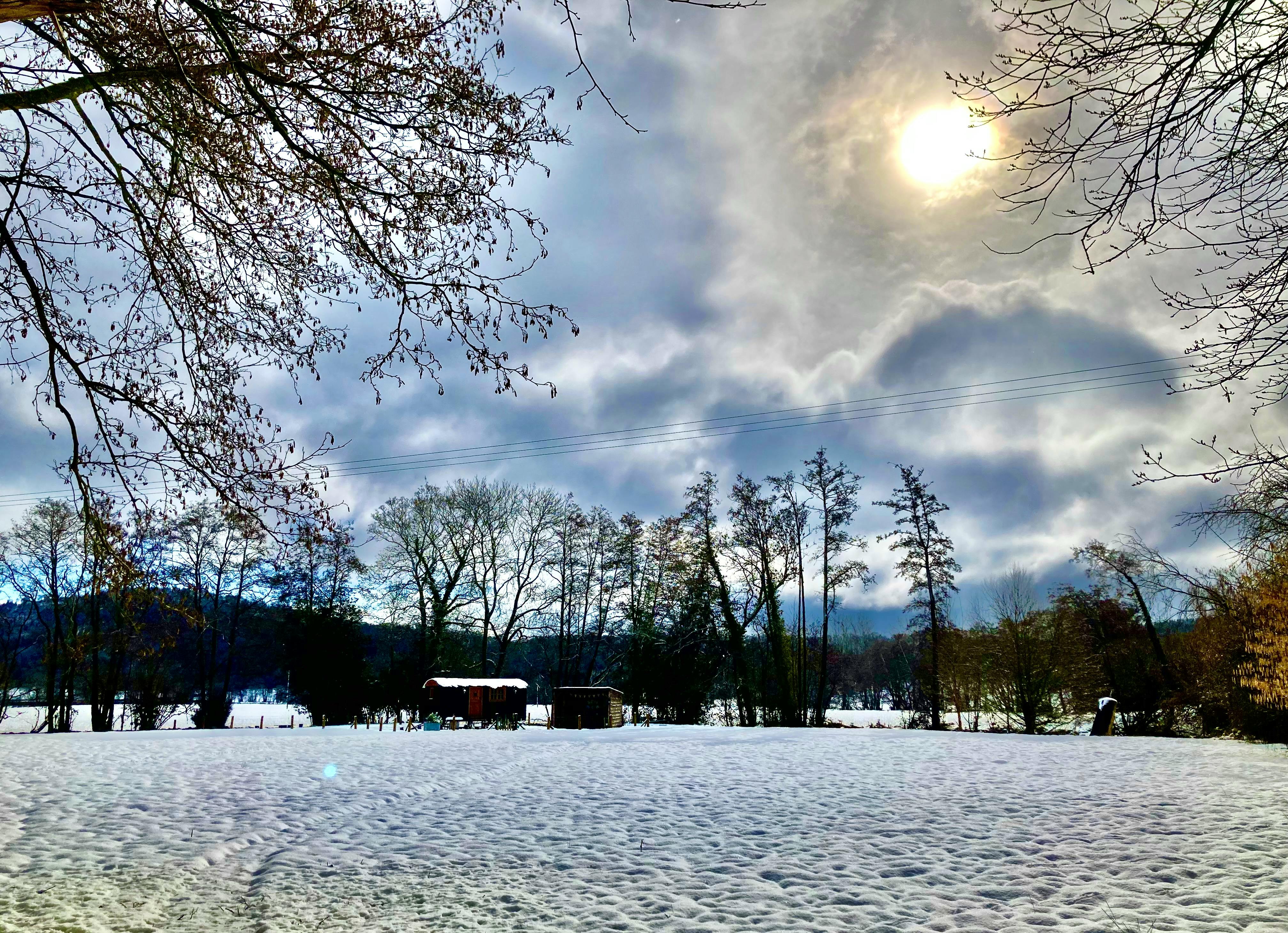 WIntery sun in Millie\'s Meadow