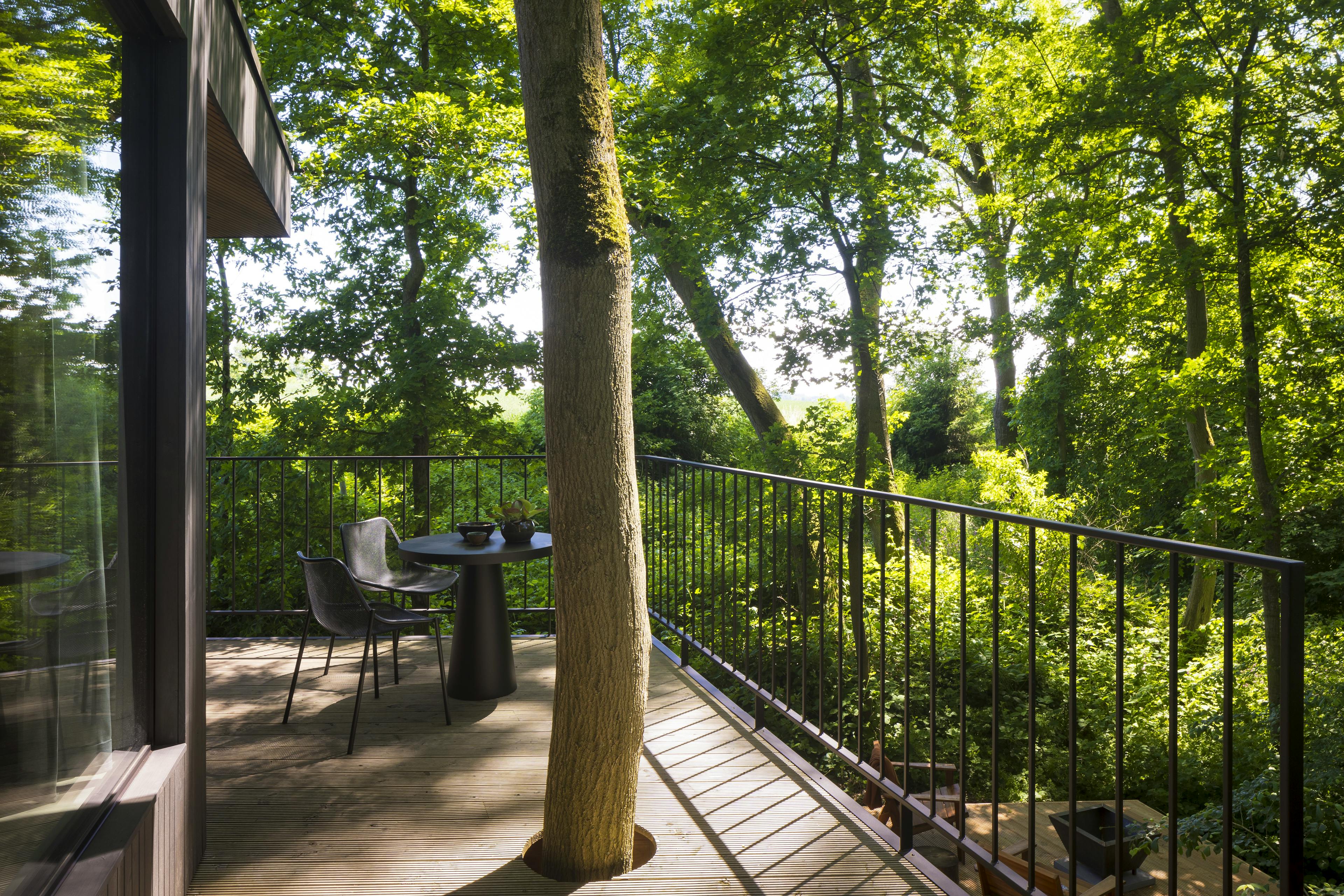 Loof and Bast Cabins - Image 3