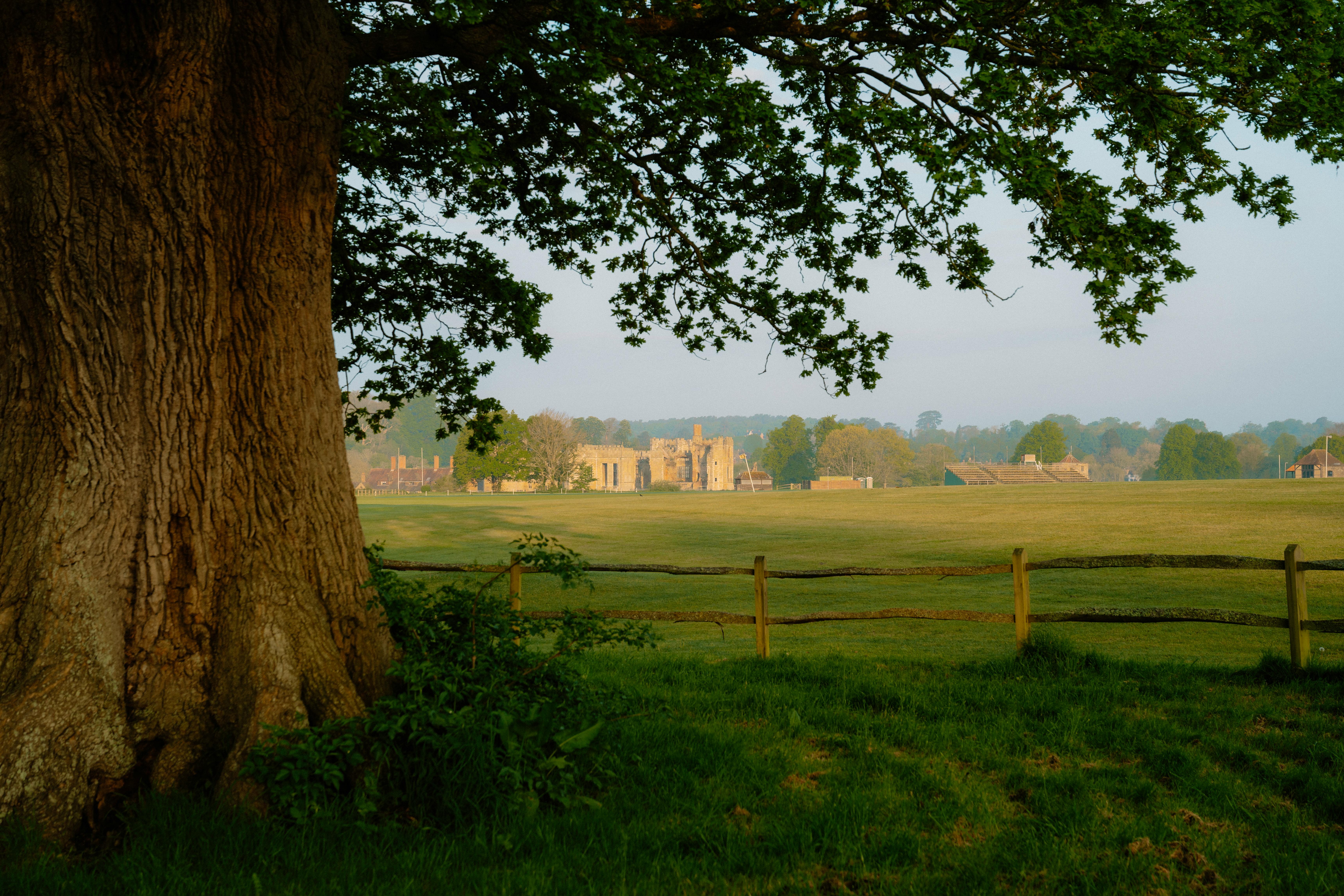 View of Cowdray Estate