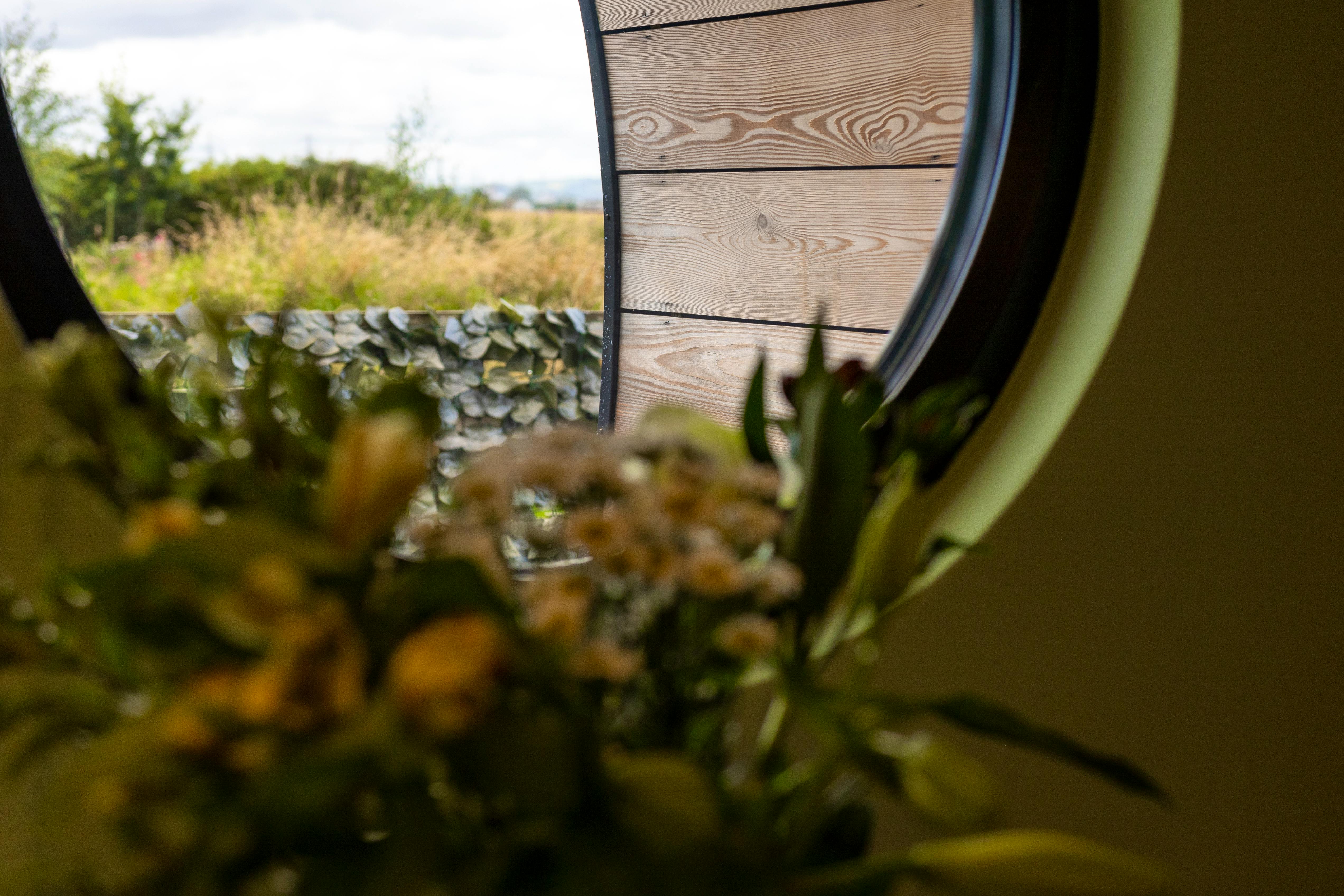 View from dining area