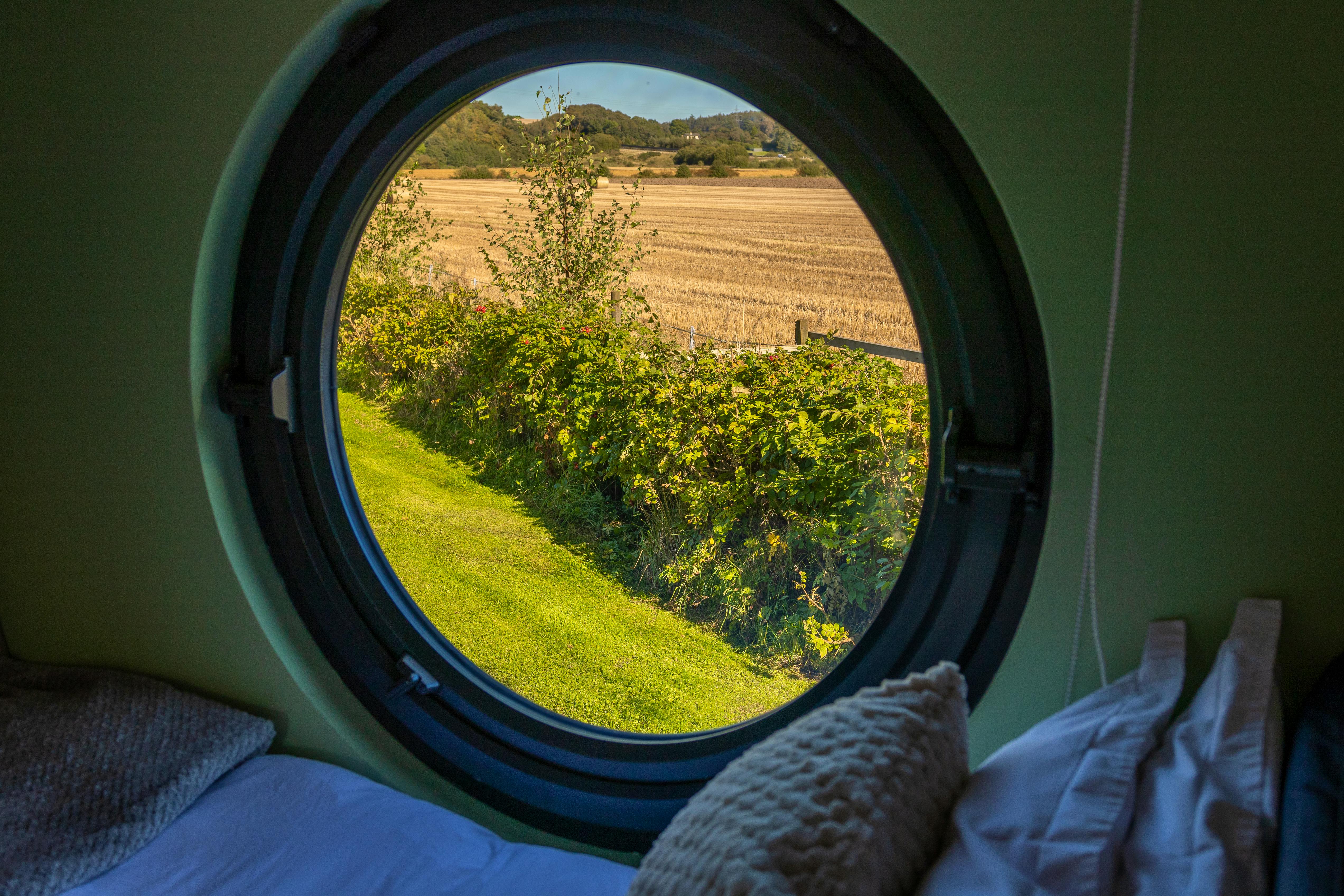 View from back window