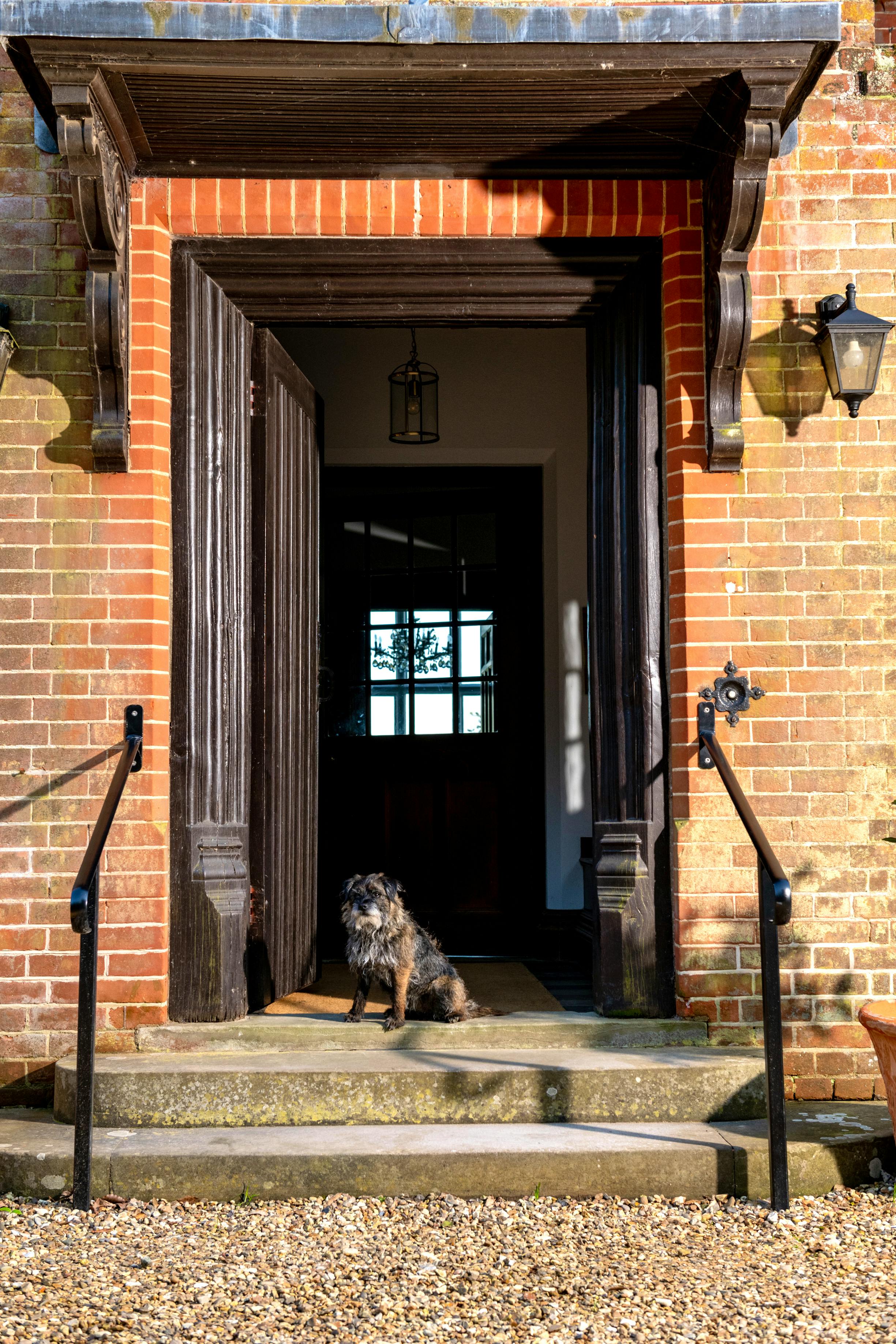 Dog friendly as shown by Slipper!