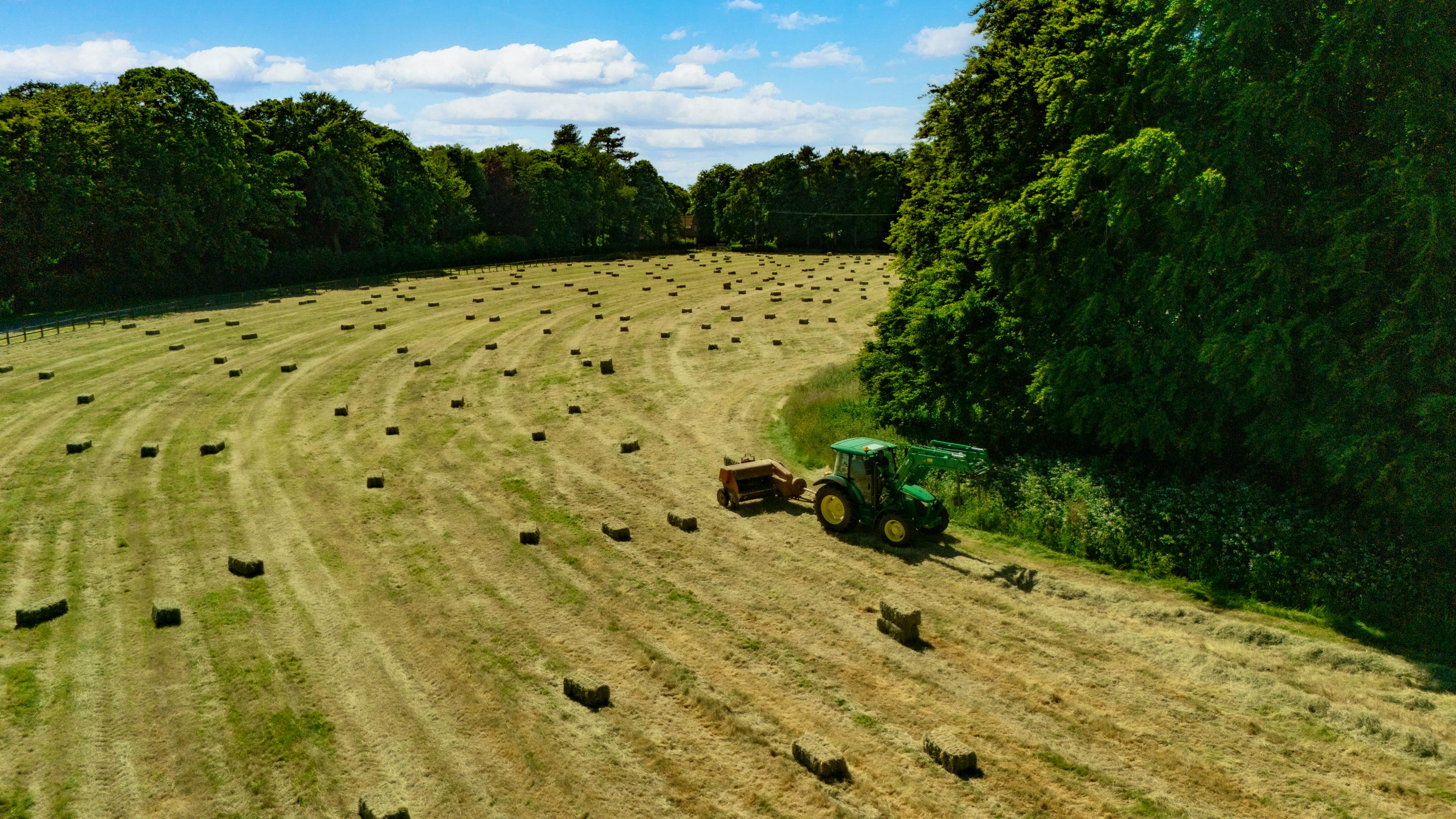 We are on a working farm.