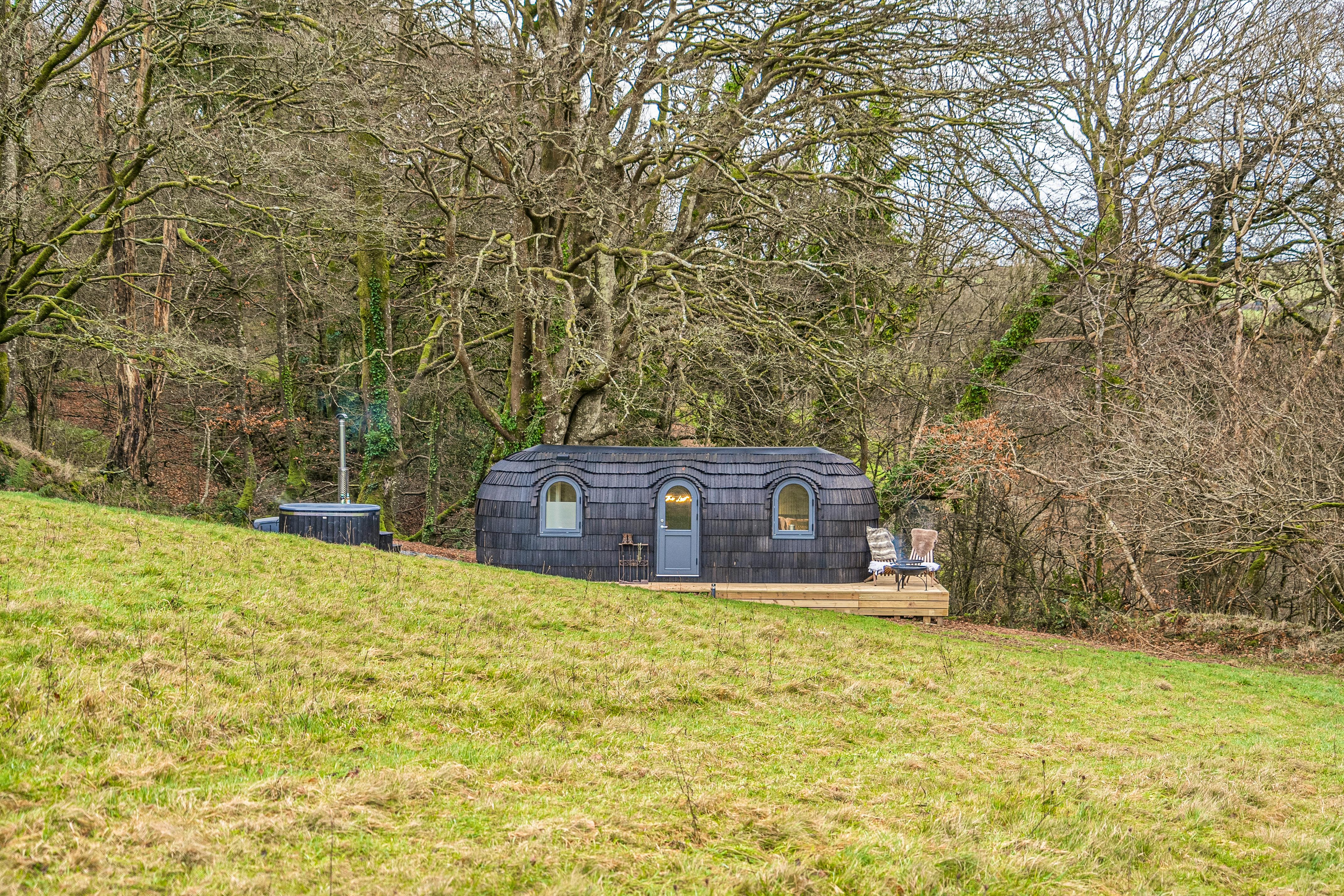 The Lost Cabin in the field