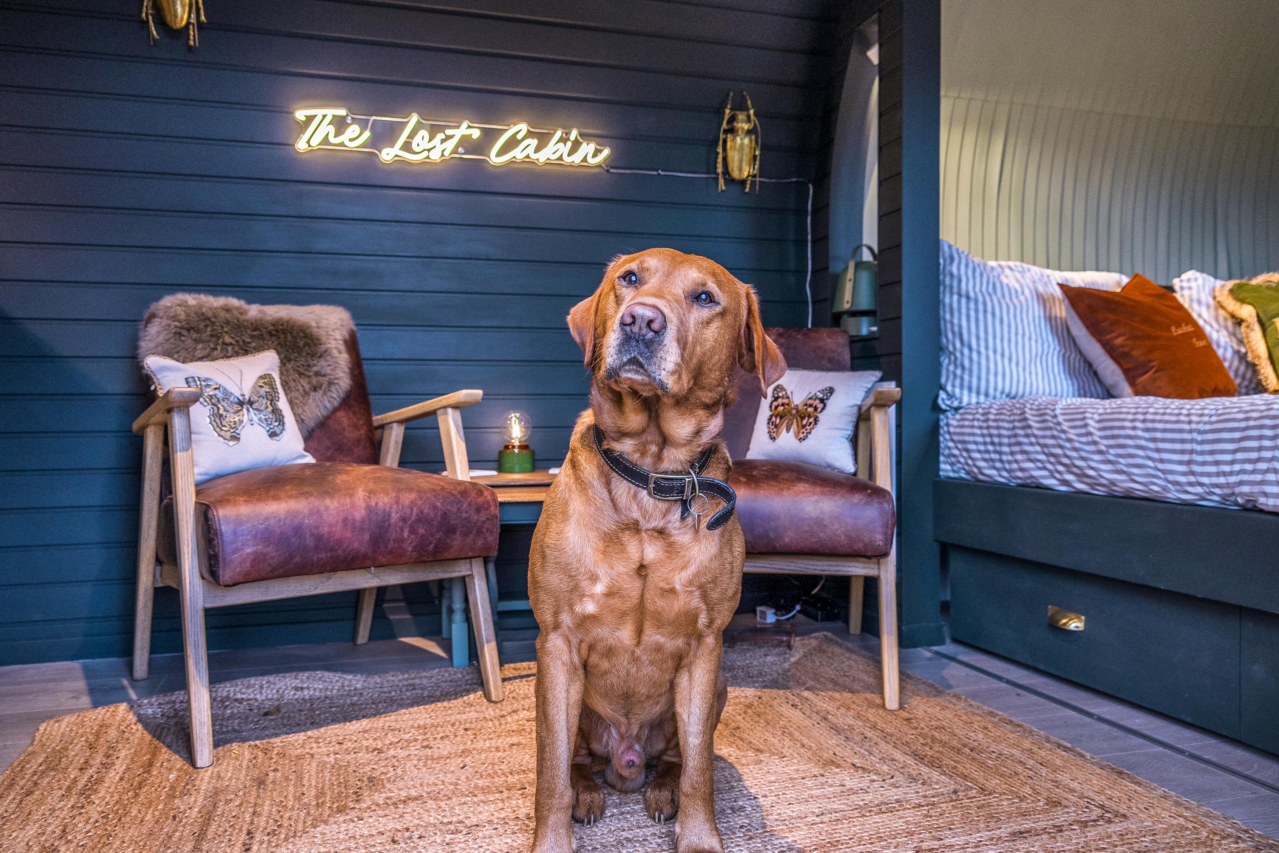 Cosy Lounge - Bert agrees