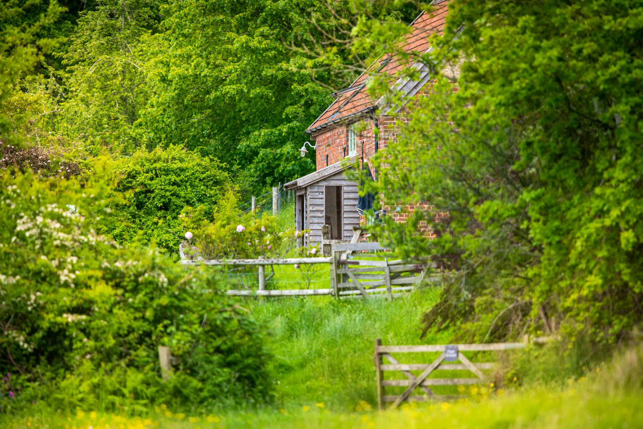 Hogchester Cottage, rural bliss in Dorset. - Coolstays