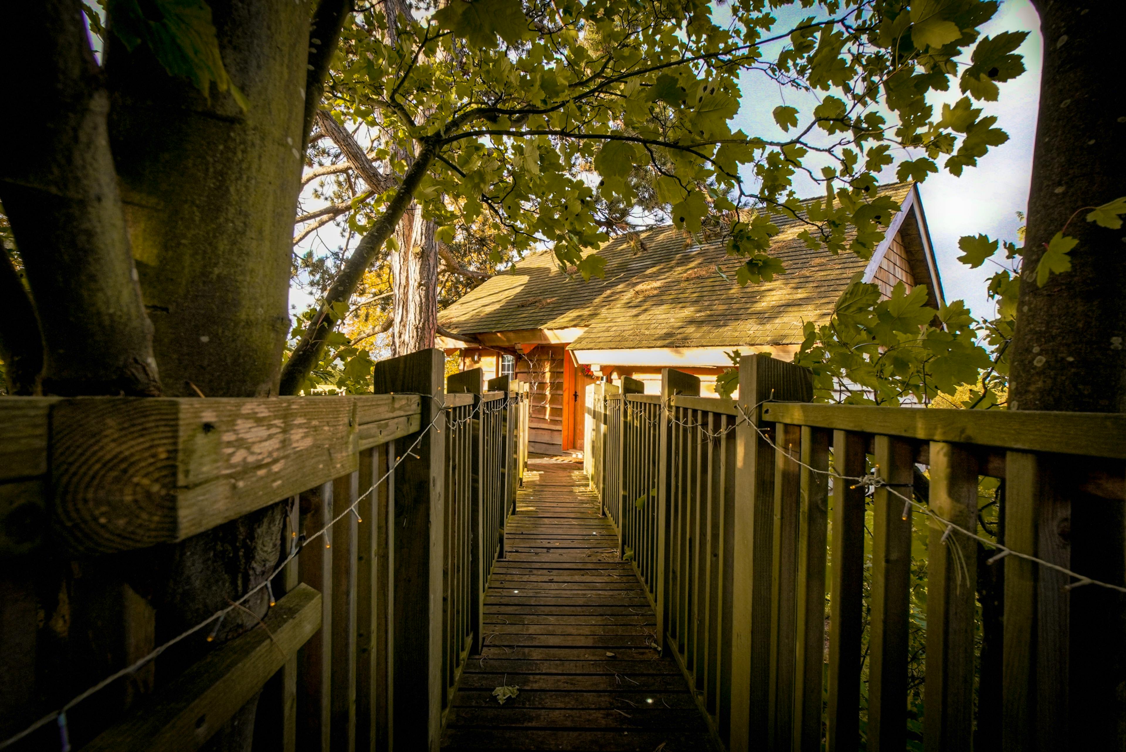 Orchard Treehouse