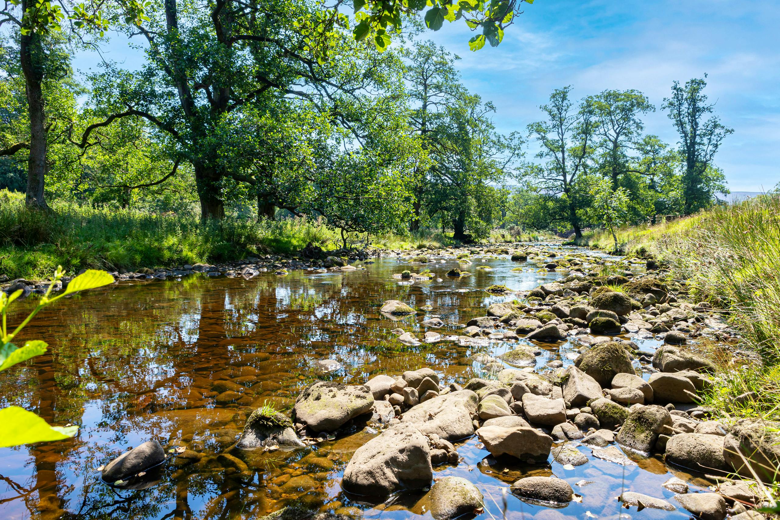Riverside walk Abbeystead