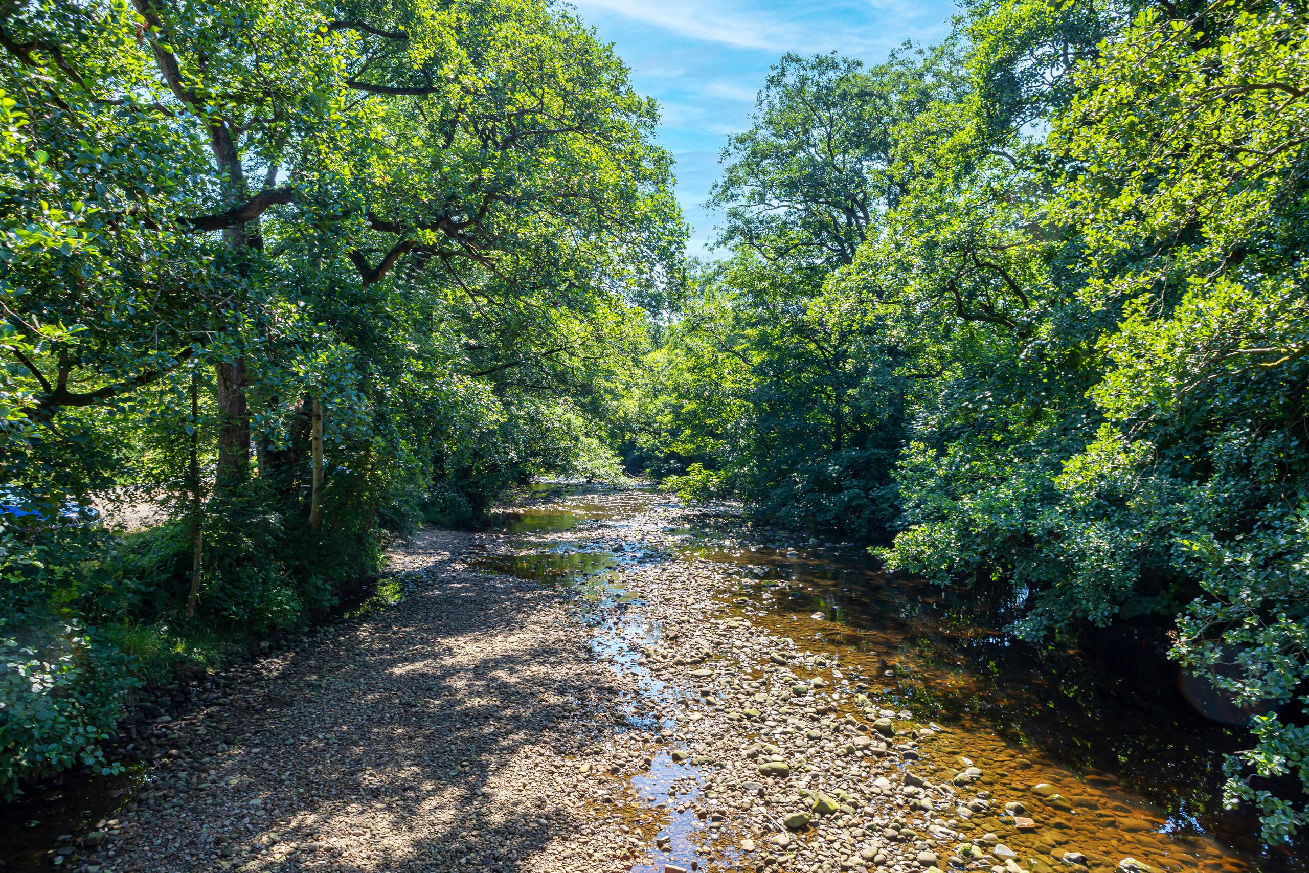 Riverside walk Abbeystead