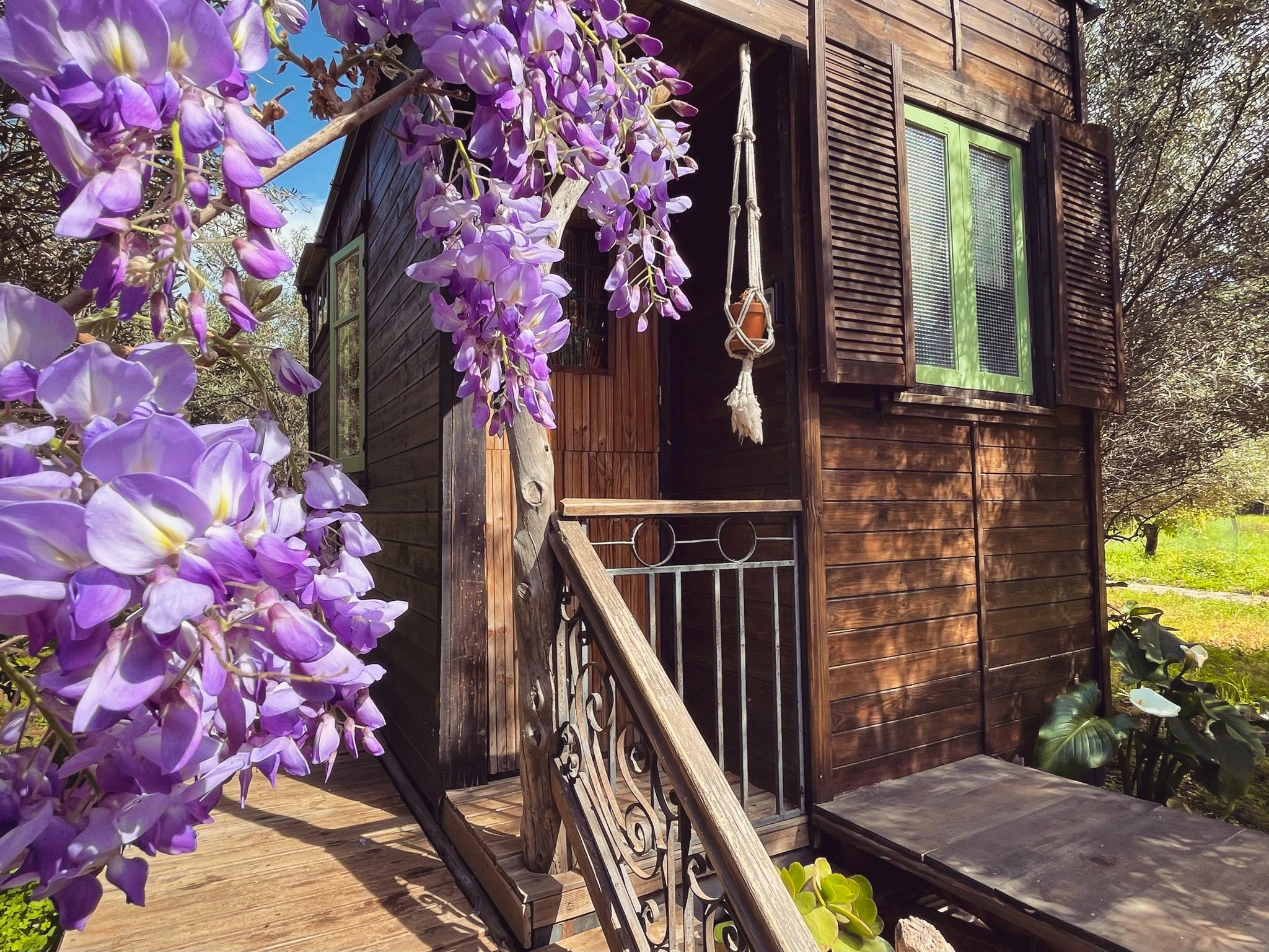 This Week's New Coolstays