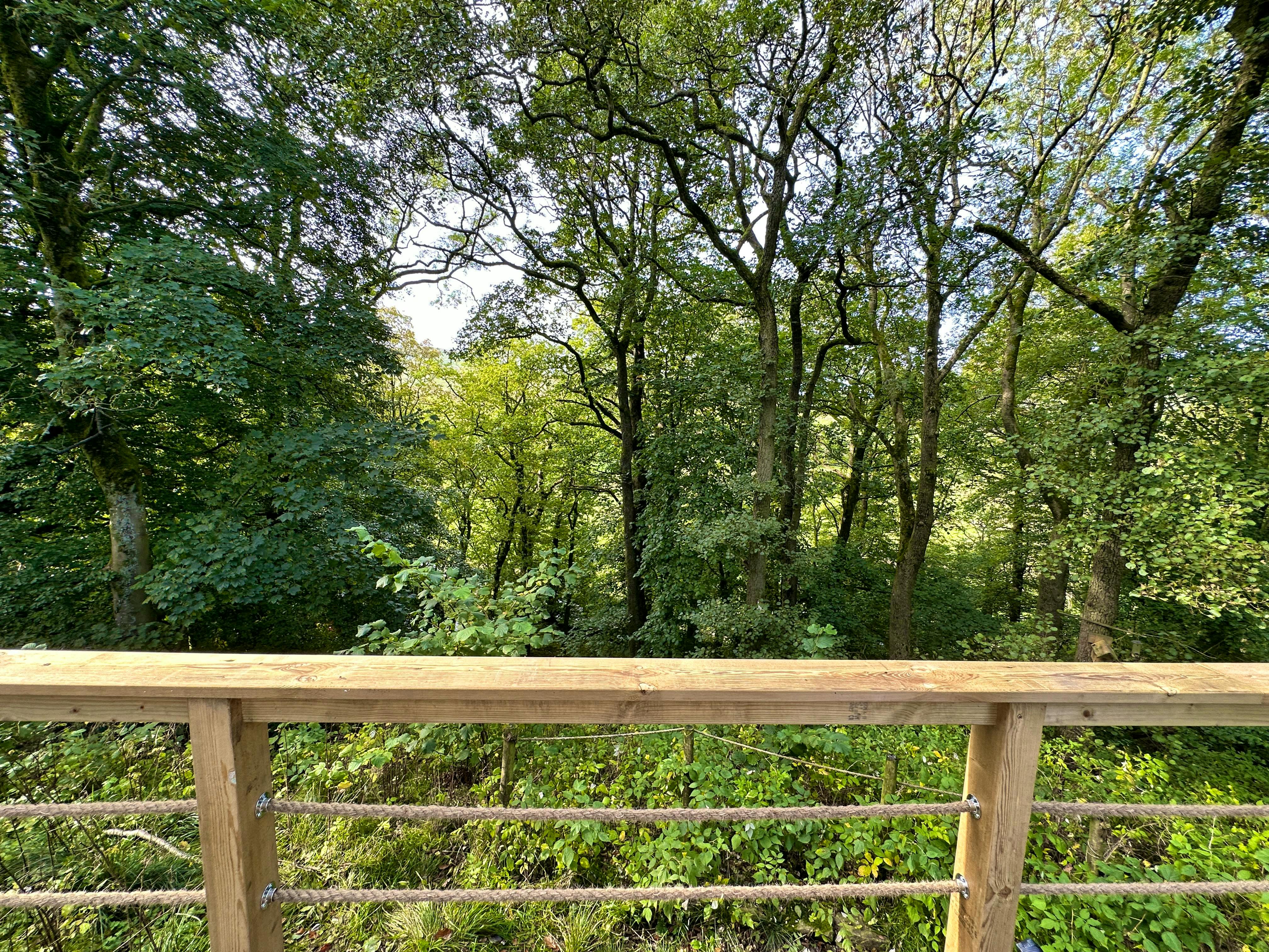 The Shepherds Hut view from deck