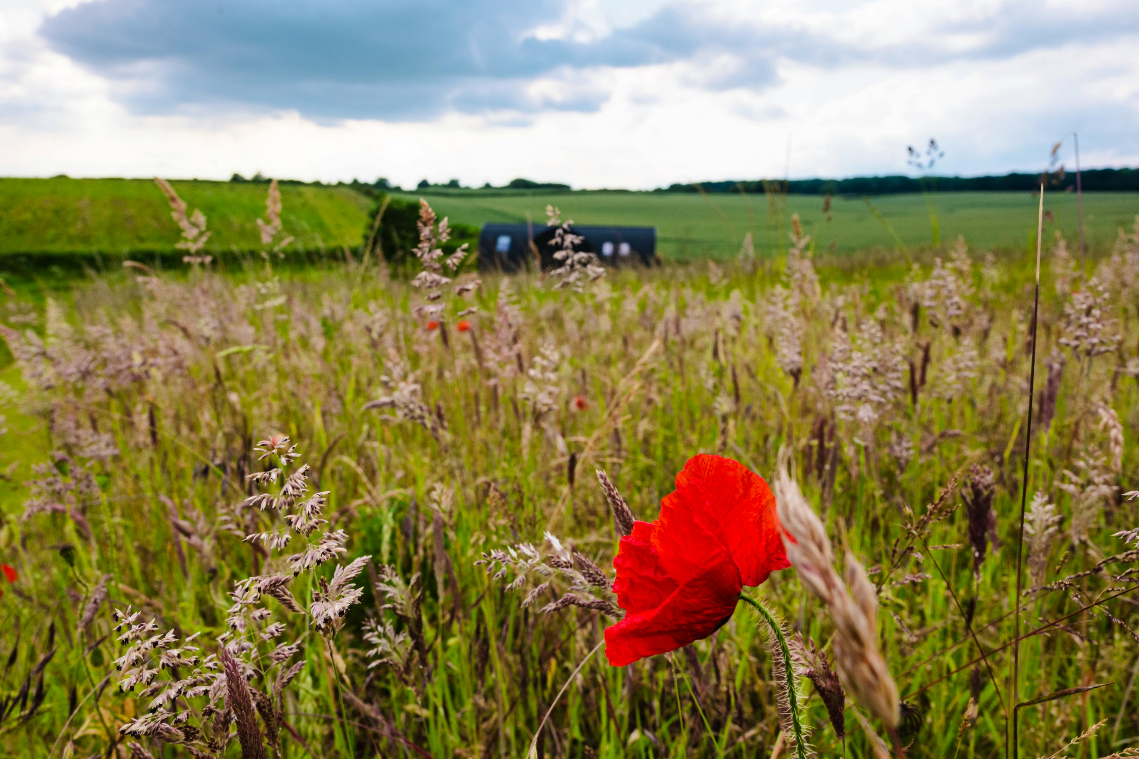 Stunning Countryside Views