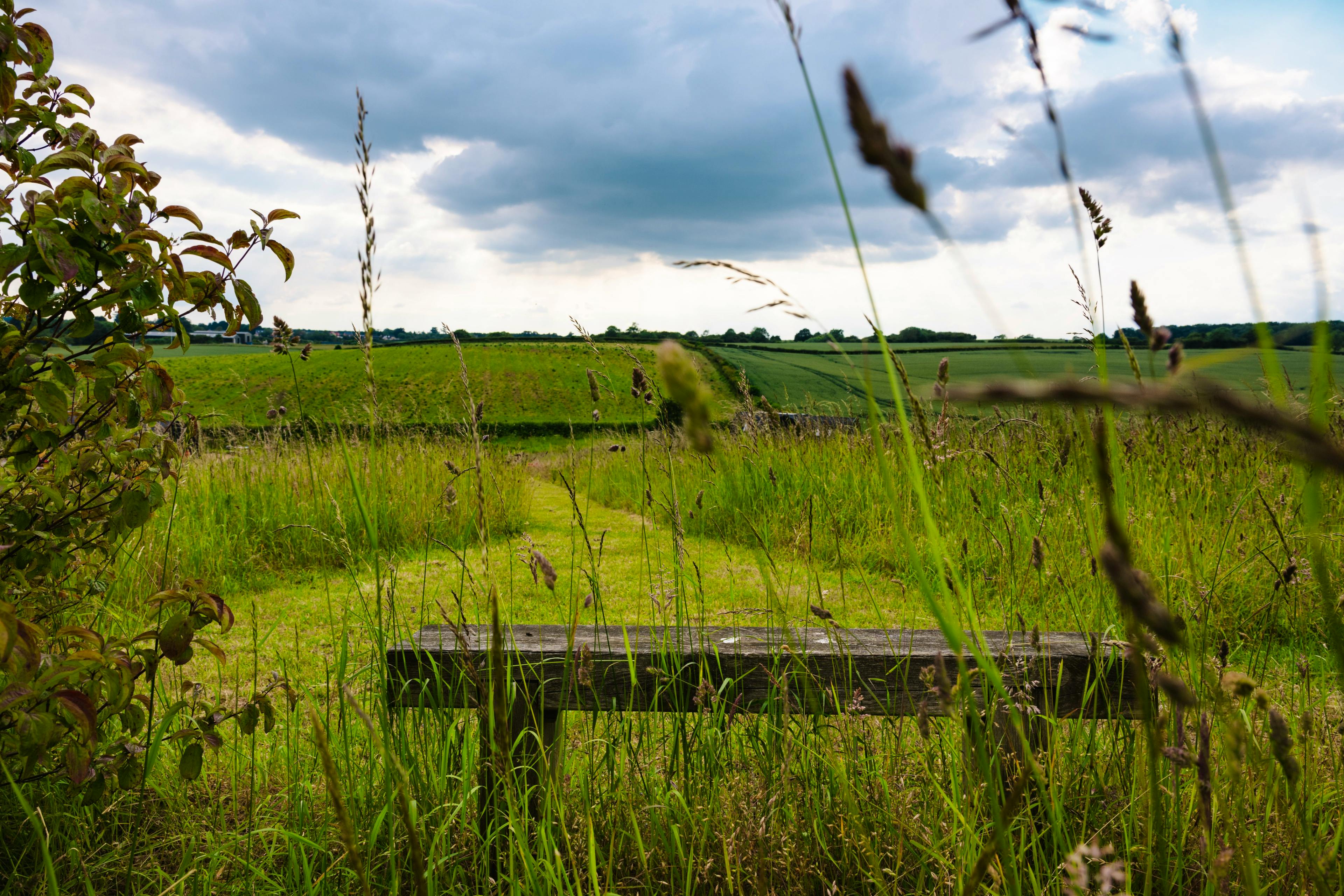 Take a seat and enjoy the view
